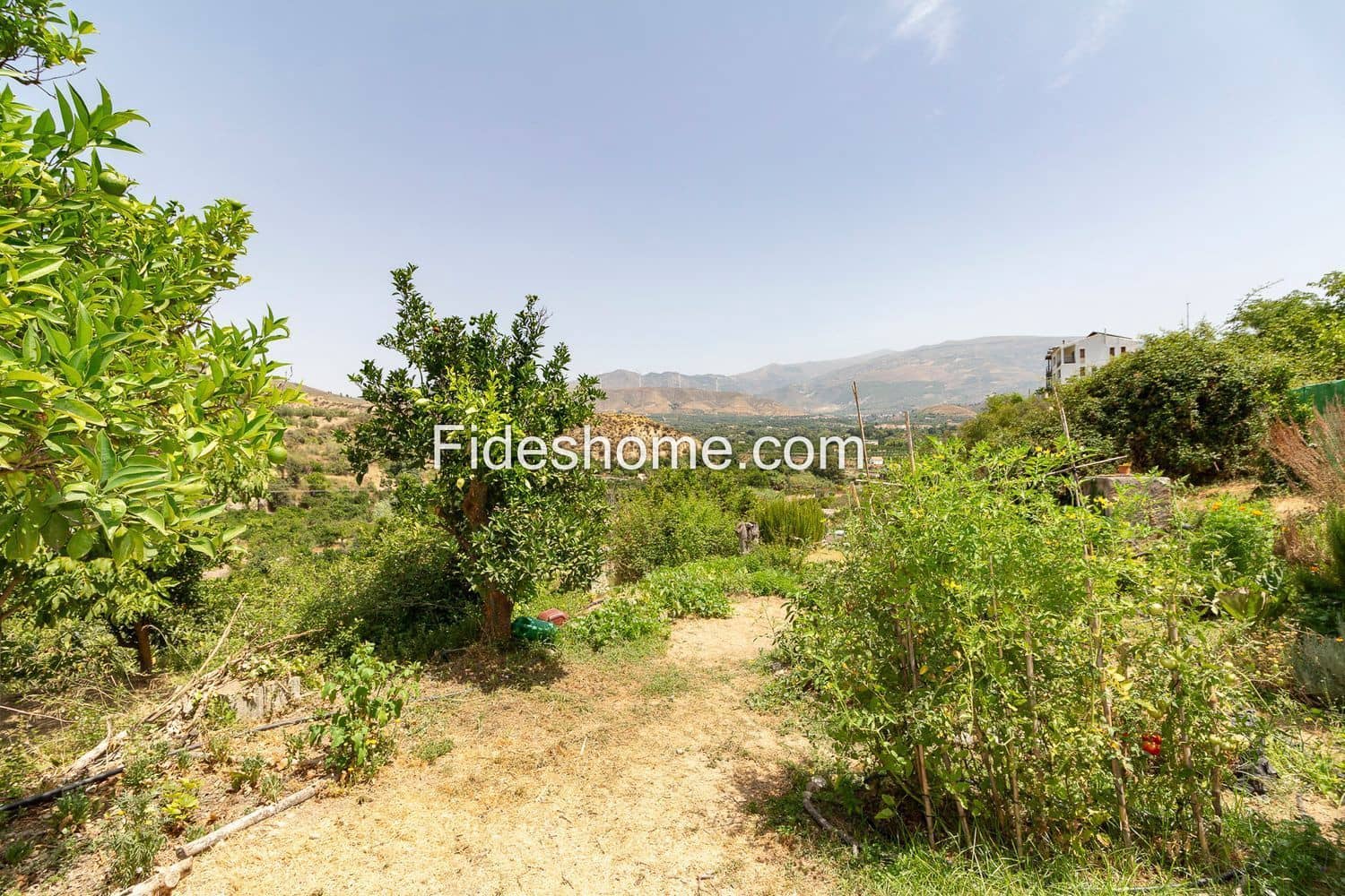 3 slaapkamer Finca/Landhuis te koop in Restabal met zwembad - € 275.000 (Ref: 10120447)