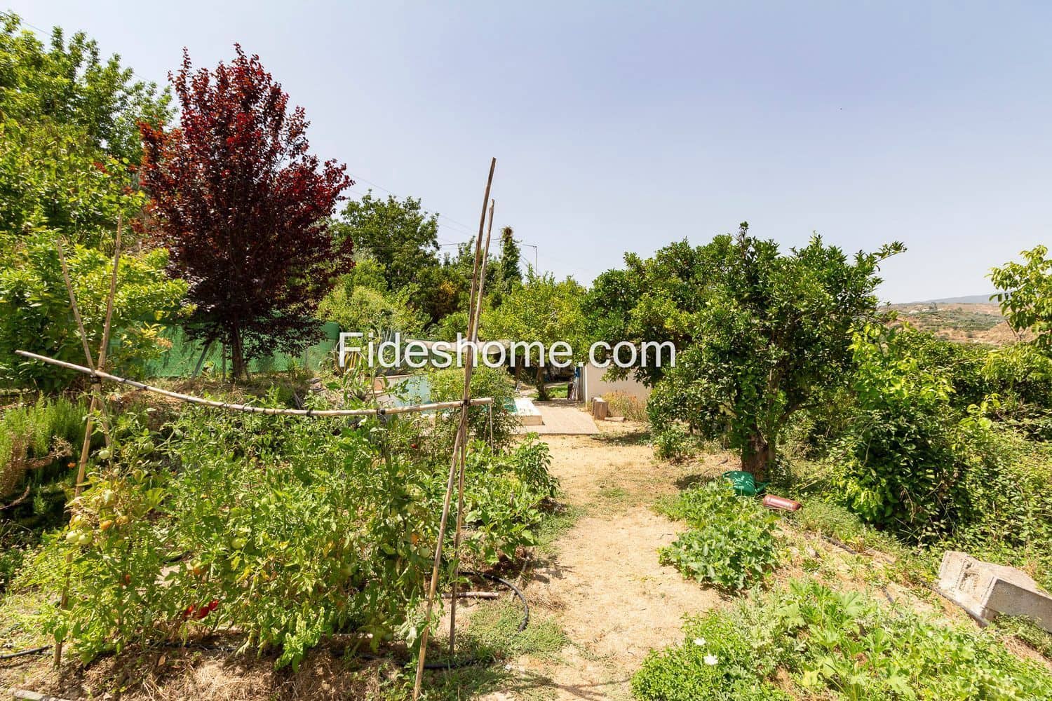 3 slaapkamer Finca/Landhuis te koop in Restabal met zwembad - € 275.000 (Ref: 10120447)