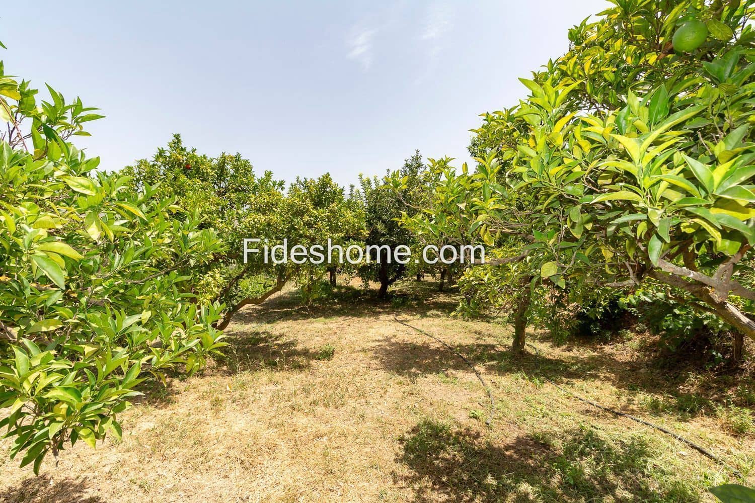 3 slaapkamer Finca/Landhuis te koop in Restabal met zwembad - € 275.000 (Ref: 10120447)