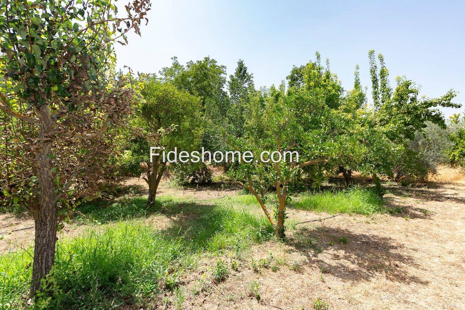 3 slaapkamer Finca/Landhuis te koop in Restabal met zwembad - € 275.000 (Ref: 10120447)