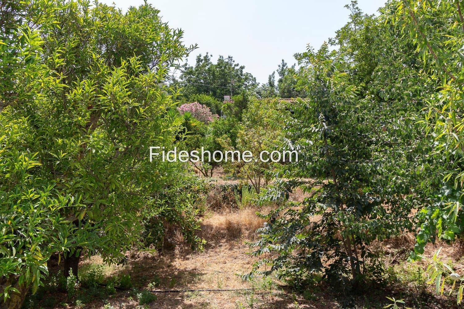 3 slaapkamer Finca/Landhuis te koop in Restabal met zwembad - € 275.000 (Ref: 10120447)