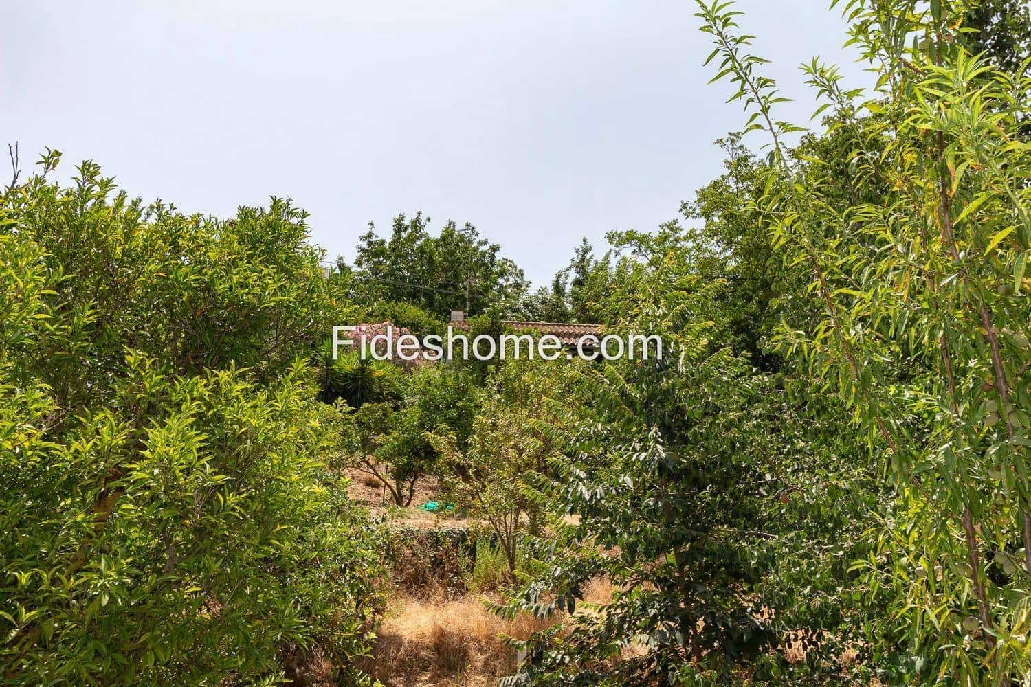 3 slaapkamer Finca/Landhuis te koop in Restabal met zwembad - € 275.000 (Ref: 10120447)
