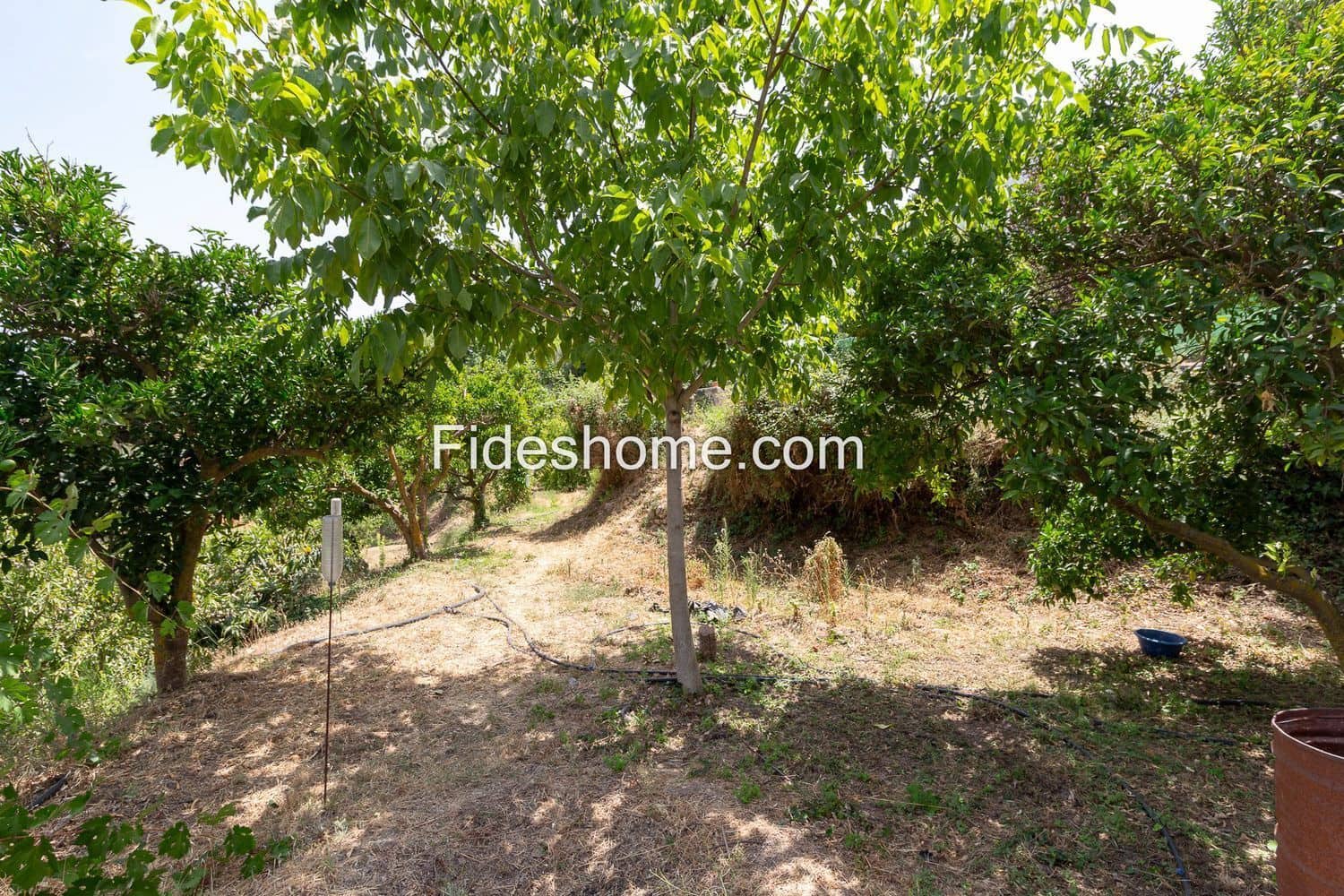 3 slaapkamer Finca/Landhuis te koop in Restabal met zwembad - € 275.000 (Ref: 10120447)