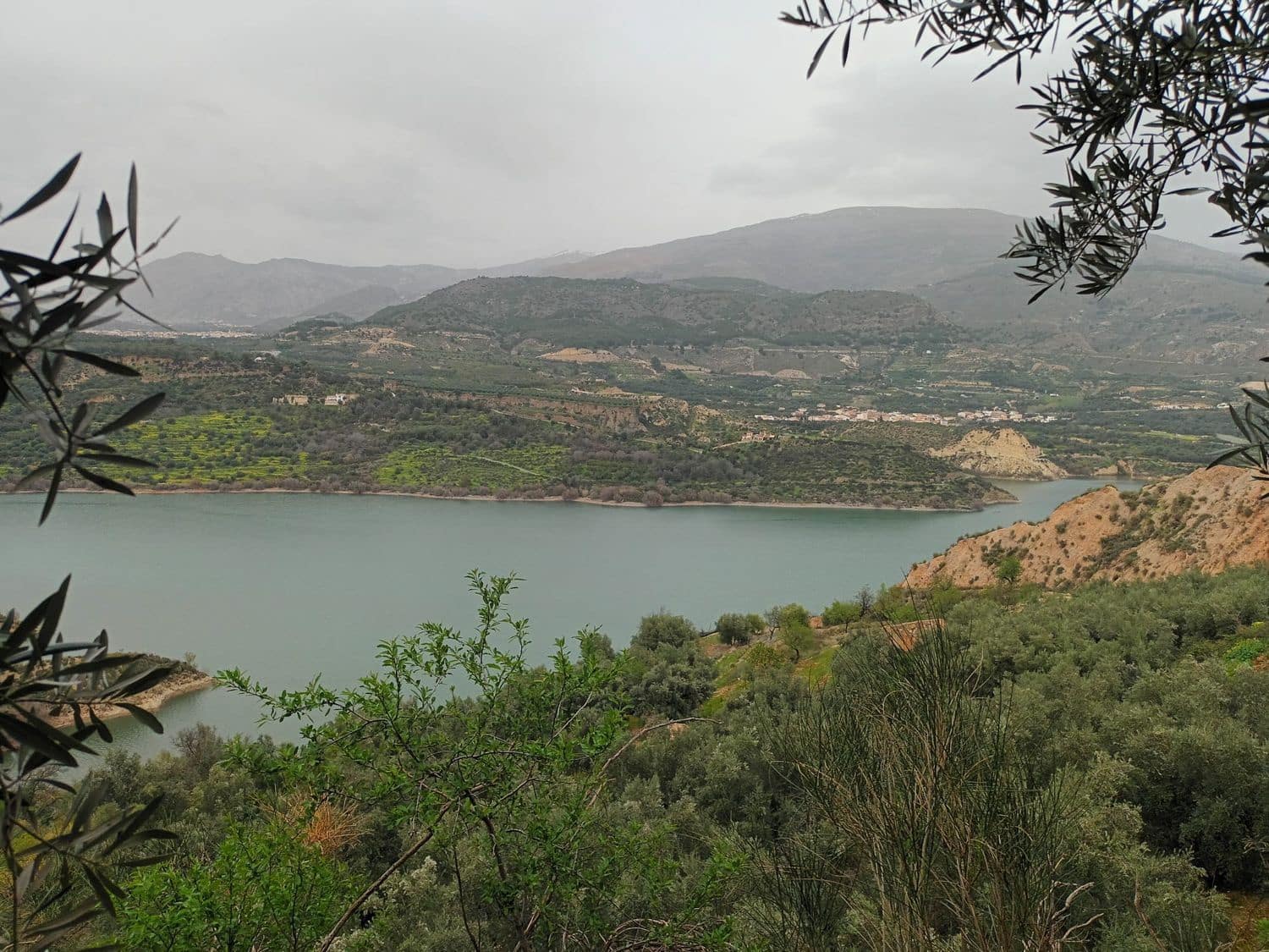 Terre non Aménagée à vendre à El Pinar - 38 500 € (Ref: 10120450)
