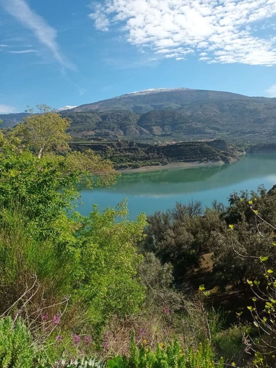 Terre non Aménagée à vendre à El Pinar - 38 500 € (Ref: 10120450)