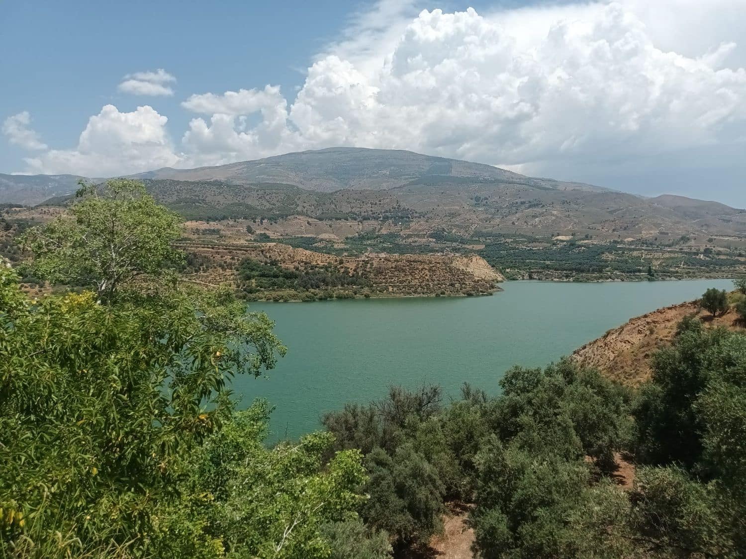 Terre non Aménagée à vendre à El Pinar - 38 500 € (Ref: 10120450)