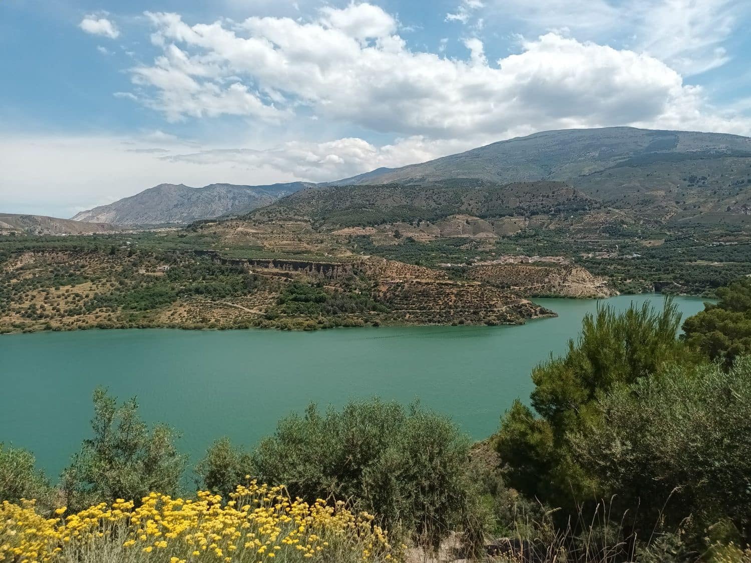 Terre non Aménagée à vendre à El Pinar - 38 500 € (Ref: 10120450)