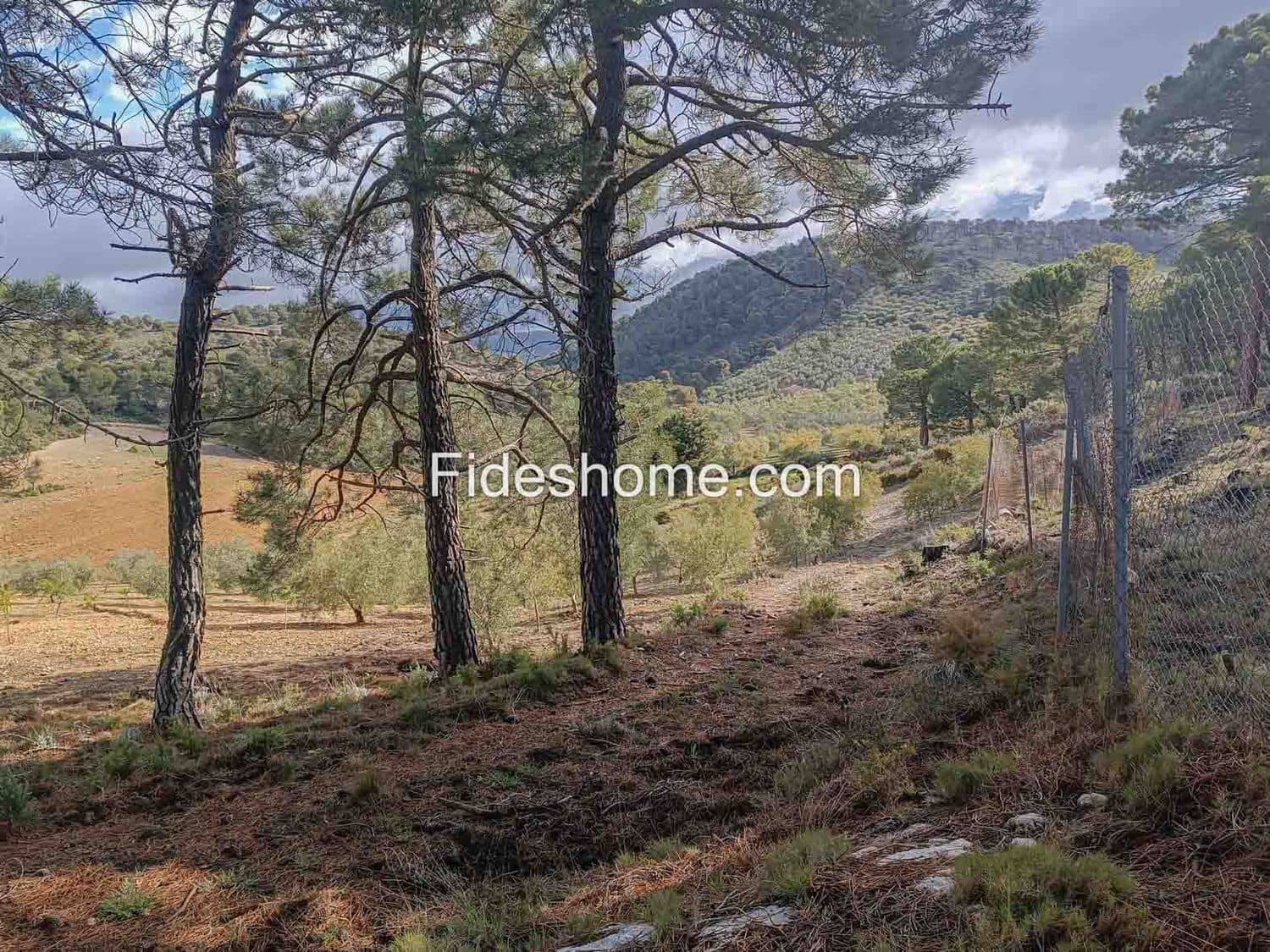Terreno/Finca Rústica en Albuñuelas en venta - 199.000 € (Ref: 10120456)