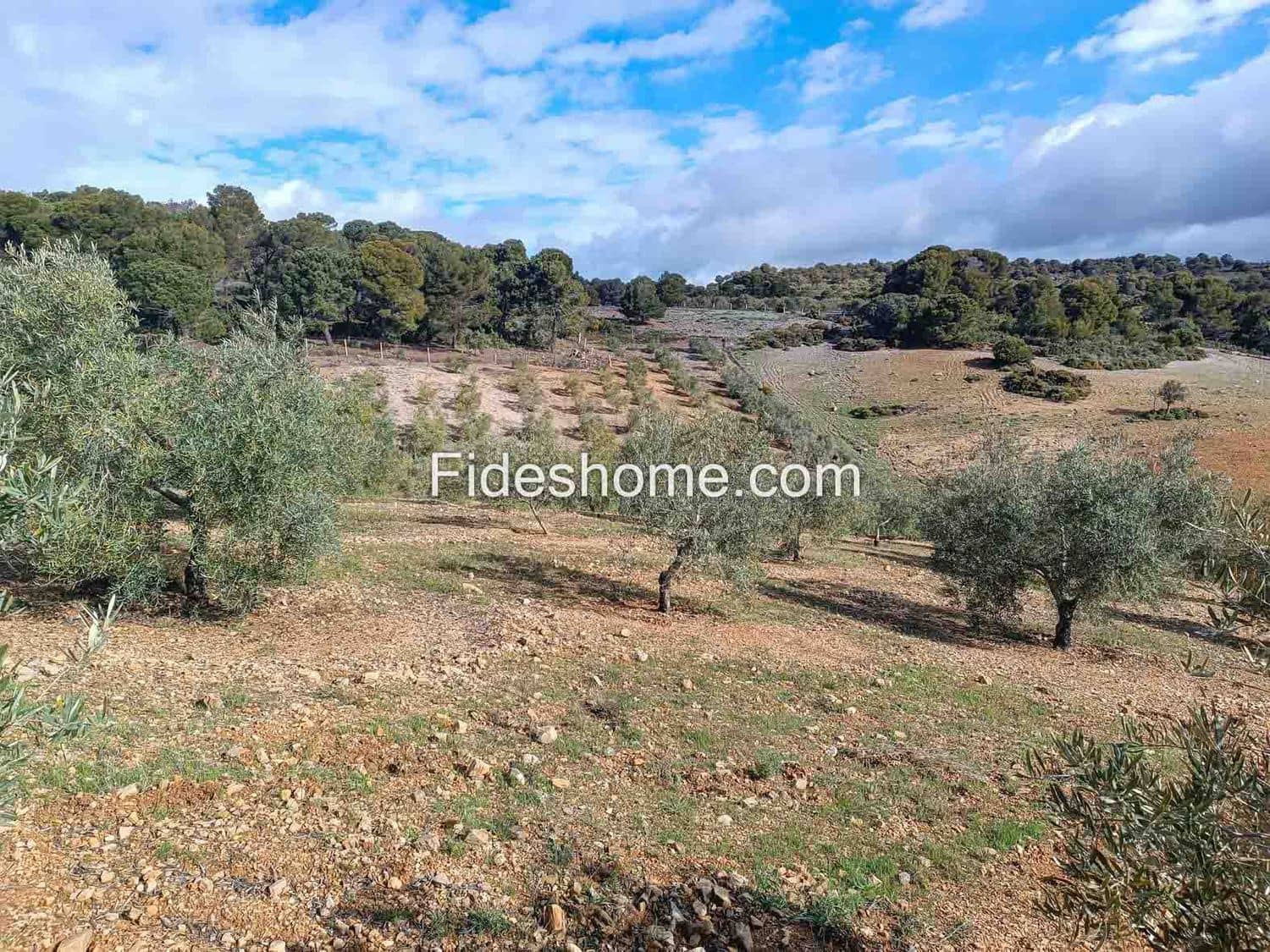 Terreno/Finca Rústica en Albuñuelas en venta - 199.000 € (Ref: 10120456)