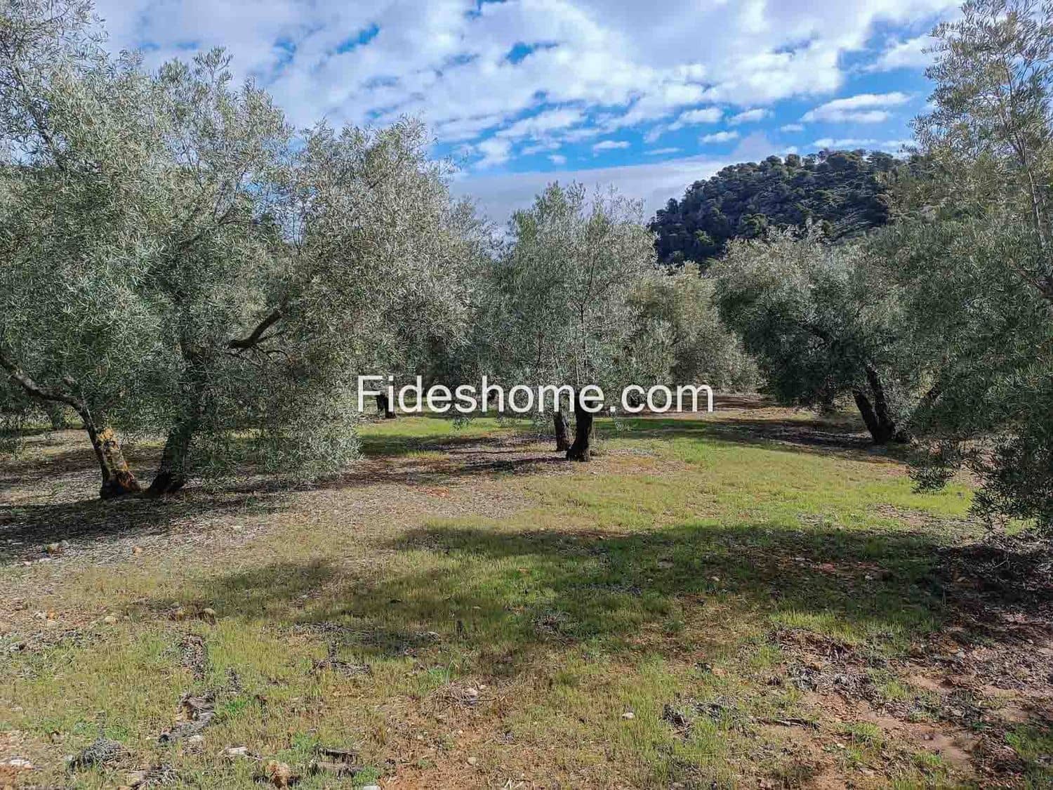 Terreno/Finca Rústica en Albuñuelas en venta - 199.000 € (Ref: 10120456)