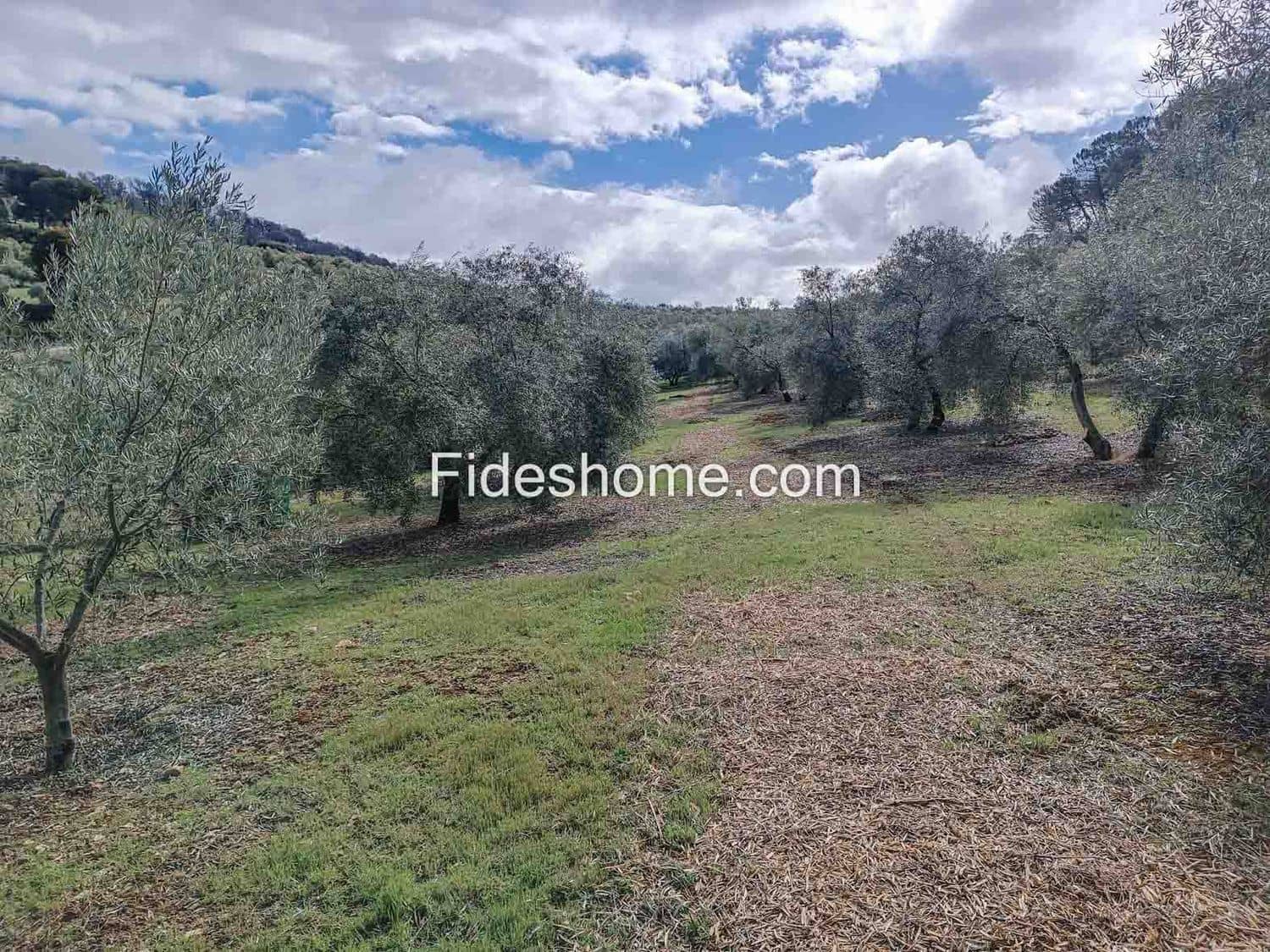 Terreno/Finca Rústica en Albuñuelas en venta - 199.000 € (Ref: 10120456)