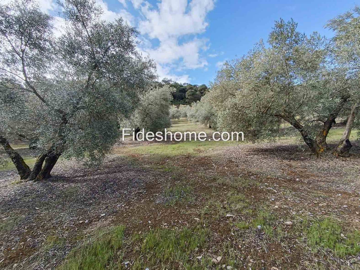 Terreno/Finca Rústica en Albuñuelas en venta - 199.000 € (Ref: 10120456)