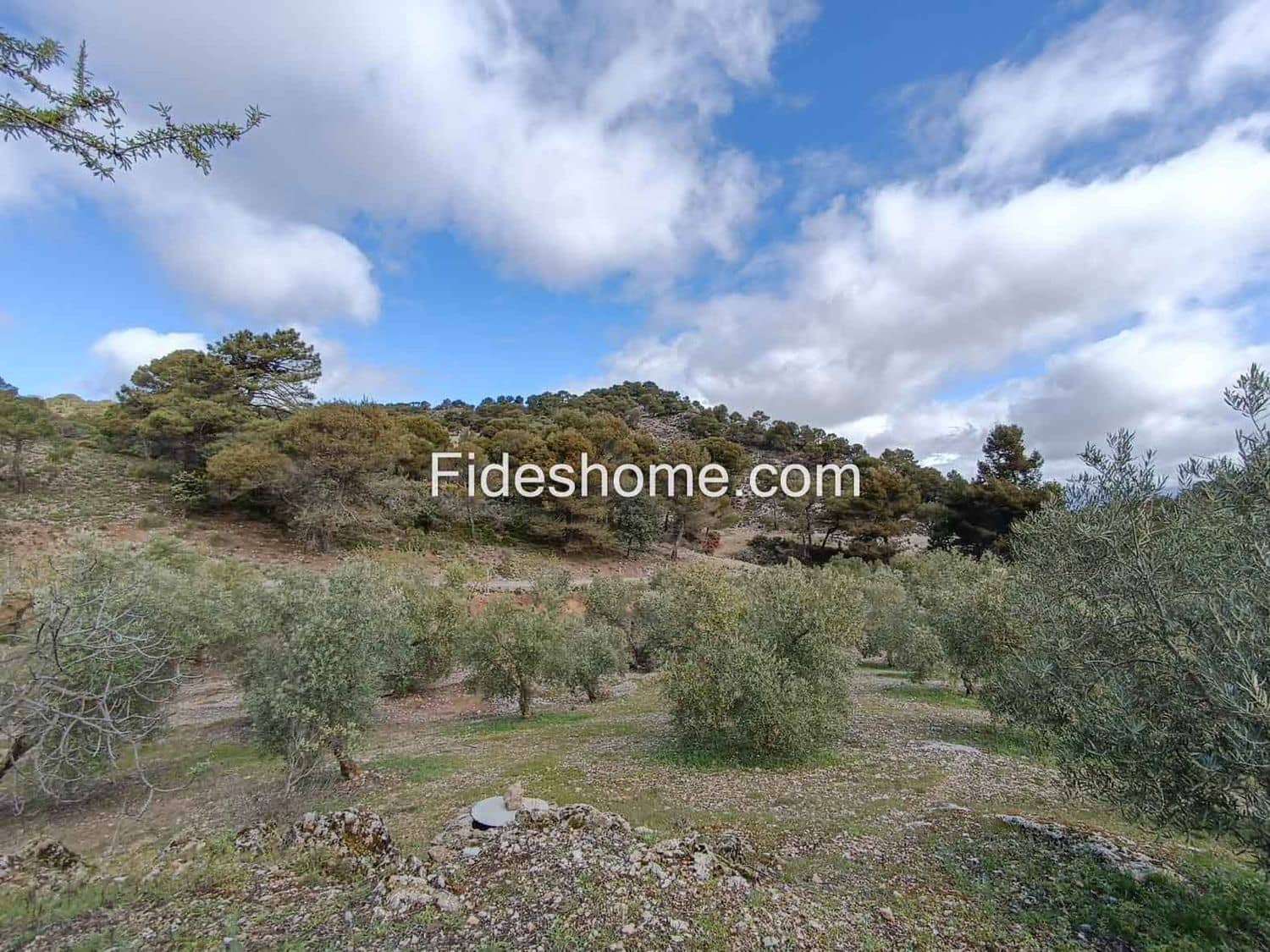 Terreno/Finca Rústica en Albuñuelas en venta - 199.000 € (Ref: 10120456)