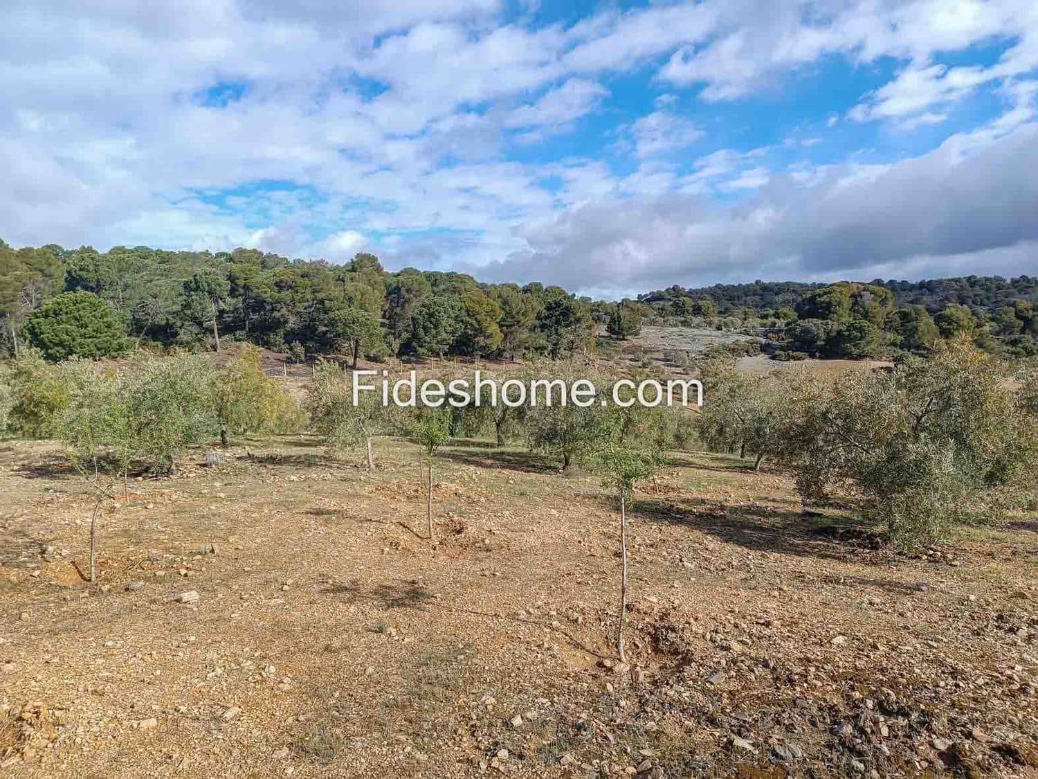 Terreno/Finca Rústica en Albuñuelas en venta - 199.000 € (Ref: 10120456)