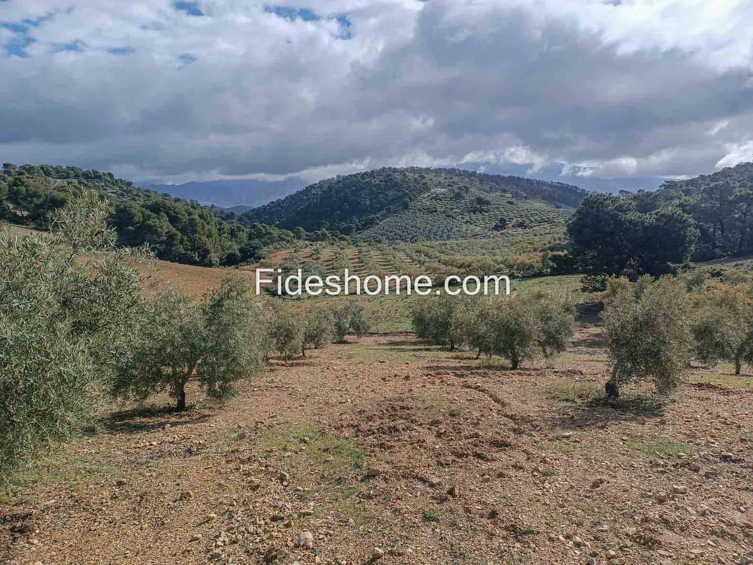 Terreno/Finca Rústica en Albuñuelas en venta - 199.000 € (Ref: 10120456)