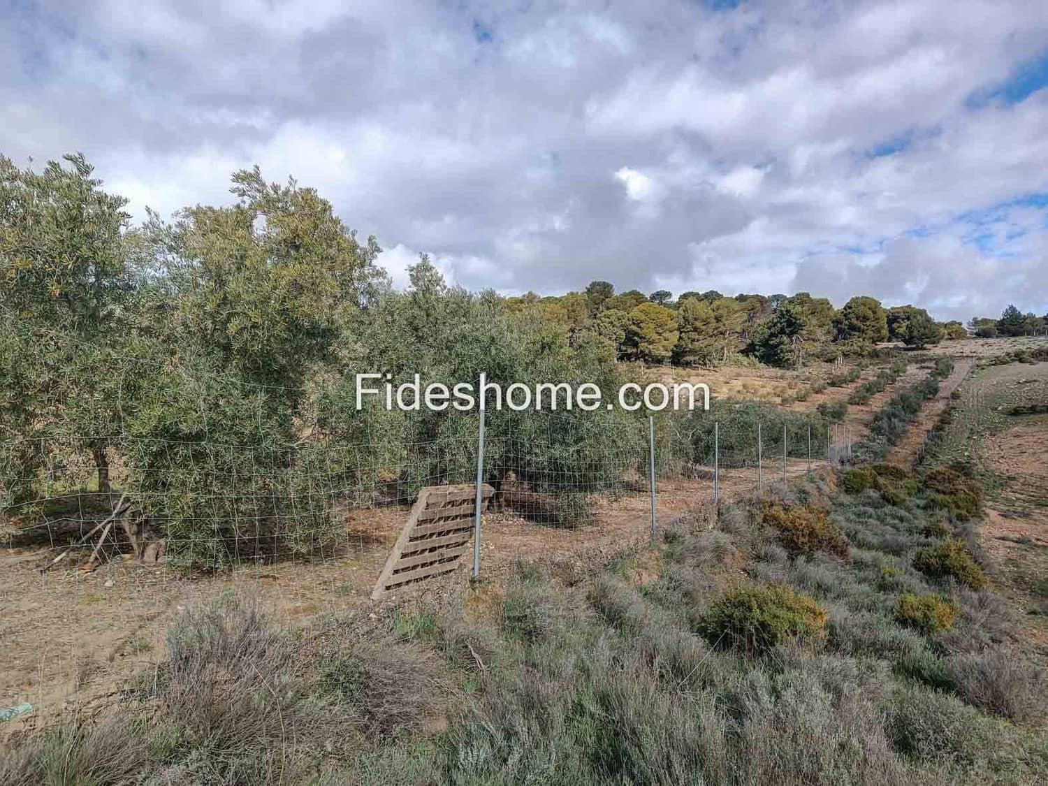 Terreno/Finca Rústica en Albuñuelas en venta - 199.000 € (Ref: 10120456)