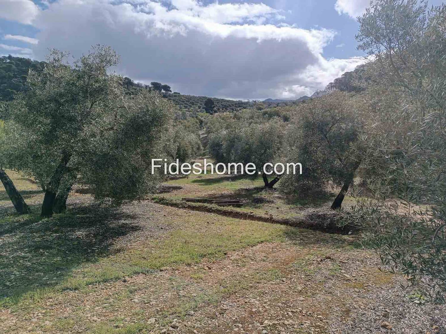 Terreno/Finca Rústica en Albuñuelas en venta - 199.000 € (Ref: 10120456)