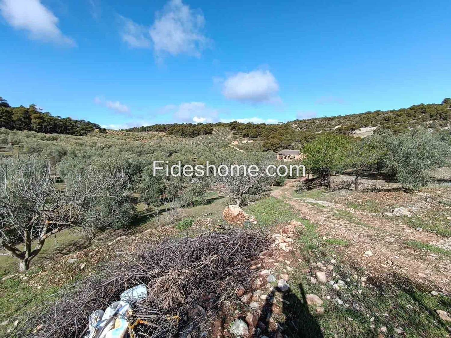 Terreno/Finca Rústica en Albuñuelas en venta - 199.000 € (Ref: 10120456)