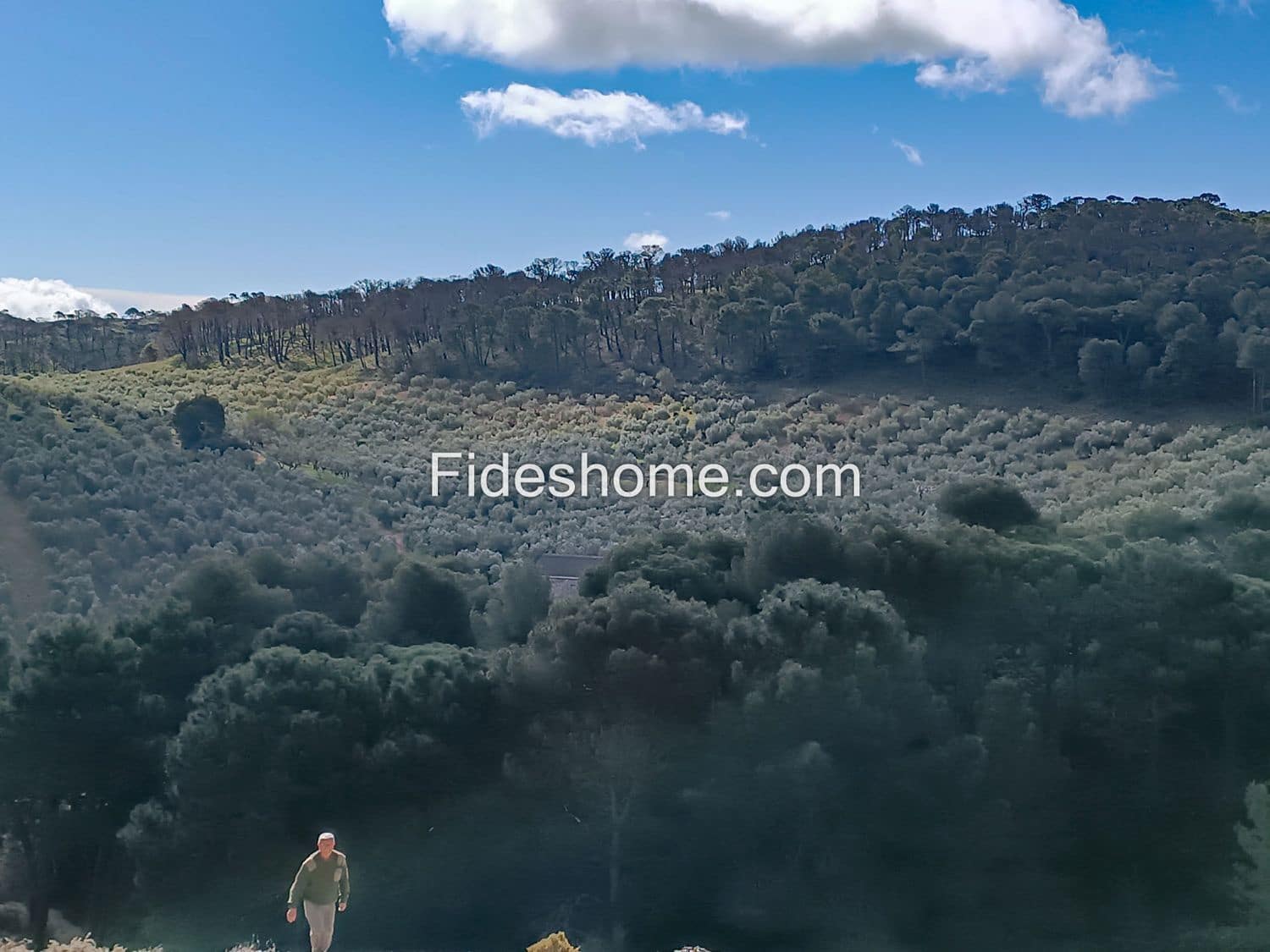 Terreno/Finca Rústica en Albuñuelas en venta - 199.000 € (Ref: 10120456)