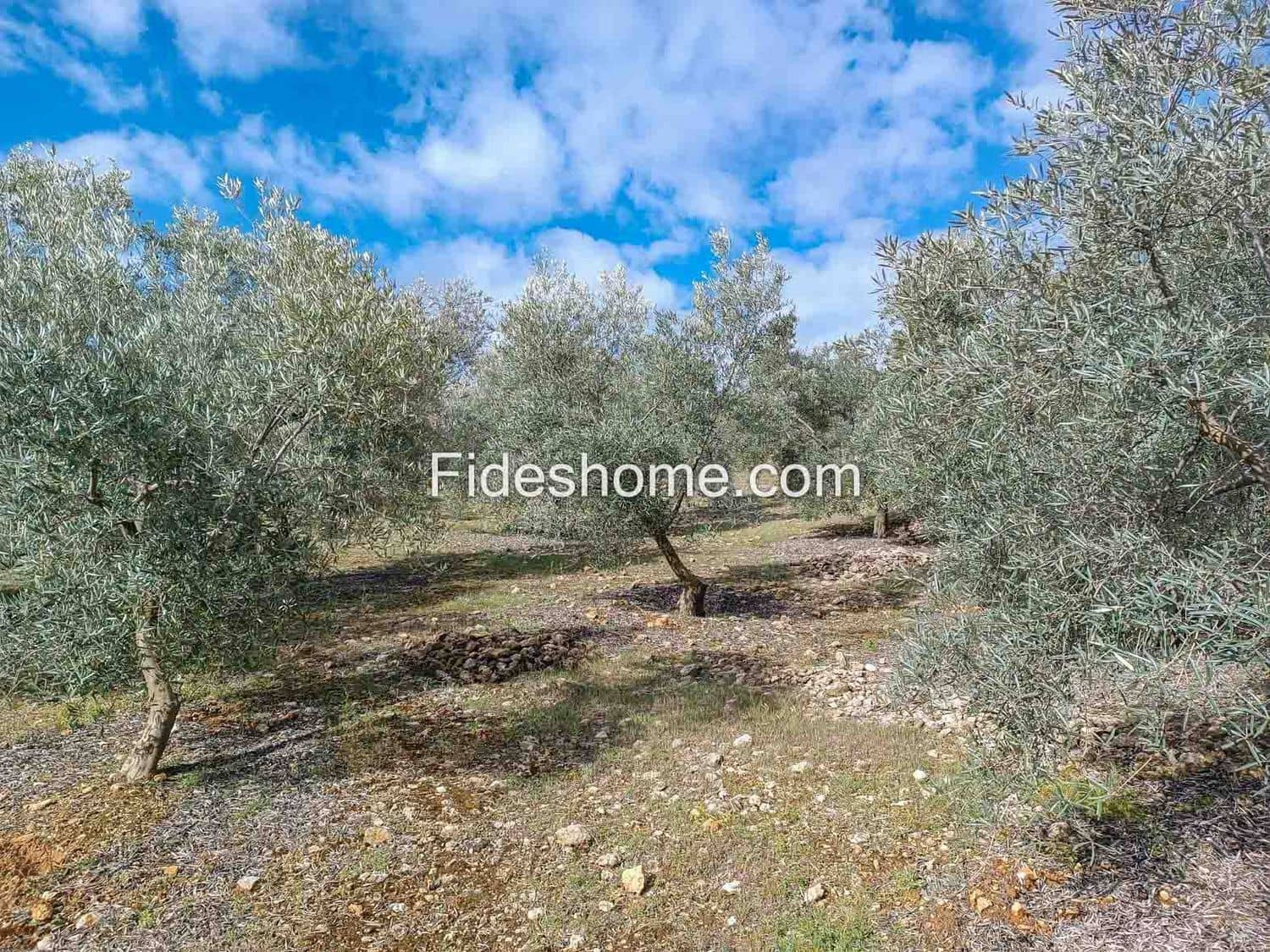 Terreno/Finca Rústica en Albuñuelas en venta - 199.000 € (Ref: 10120456)