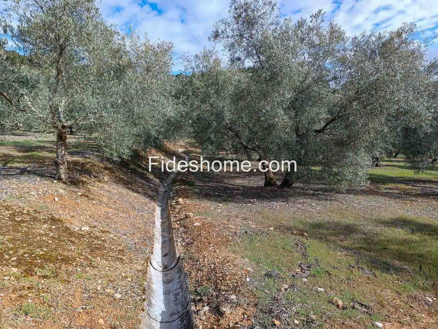 Terreno/Finca Rústica en Albuñuelas en venta - 199.000 € (Ref: 10120456)