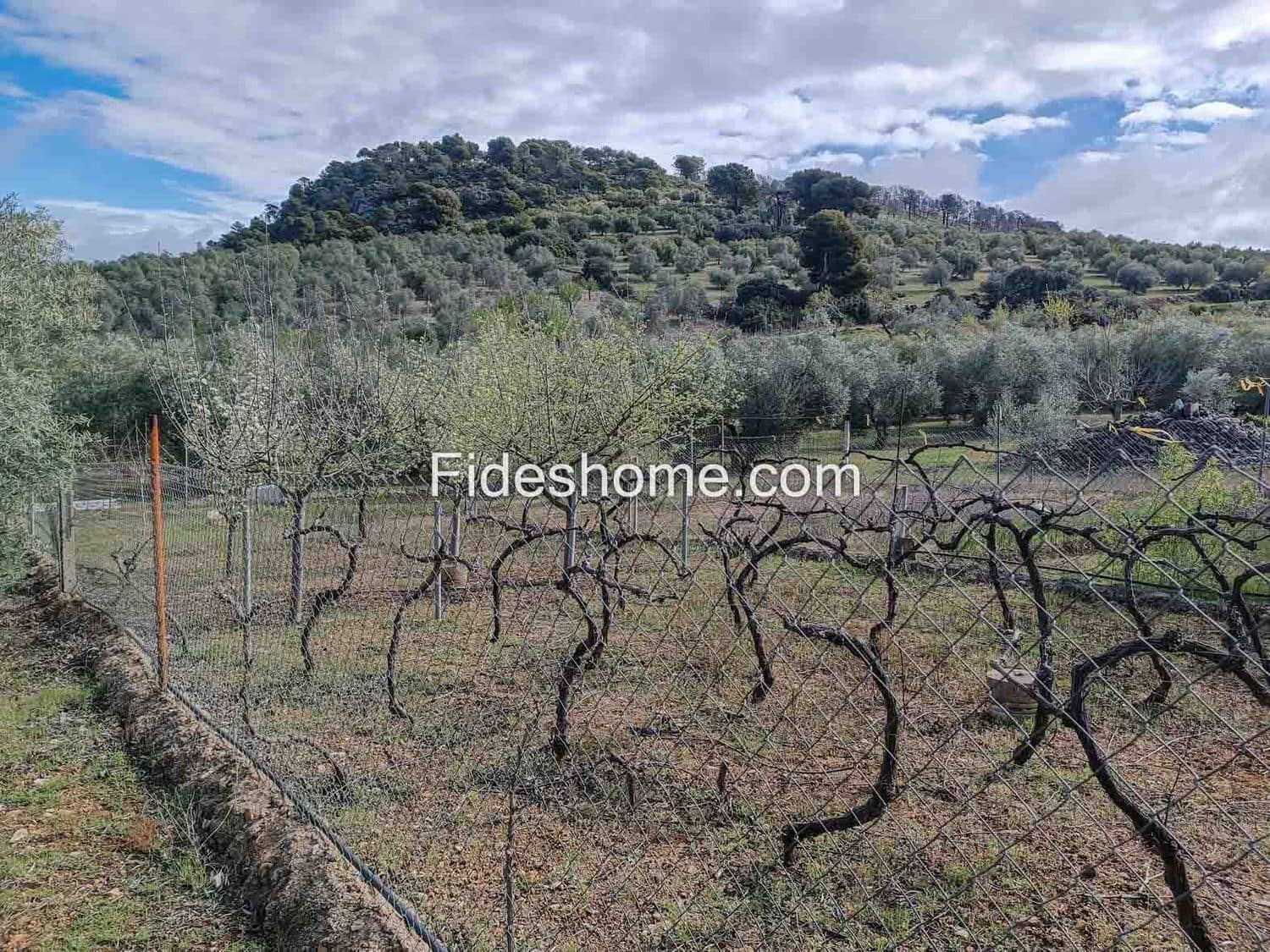 Terreno/Finca Rústica en Albuñuelas en venta - 199.000 € (Ref: 10120456)