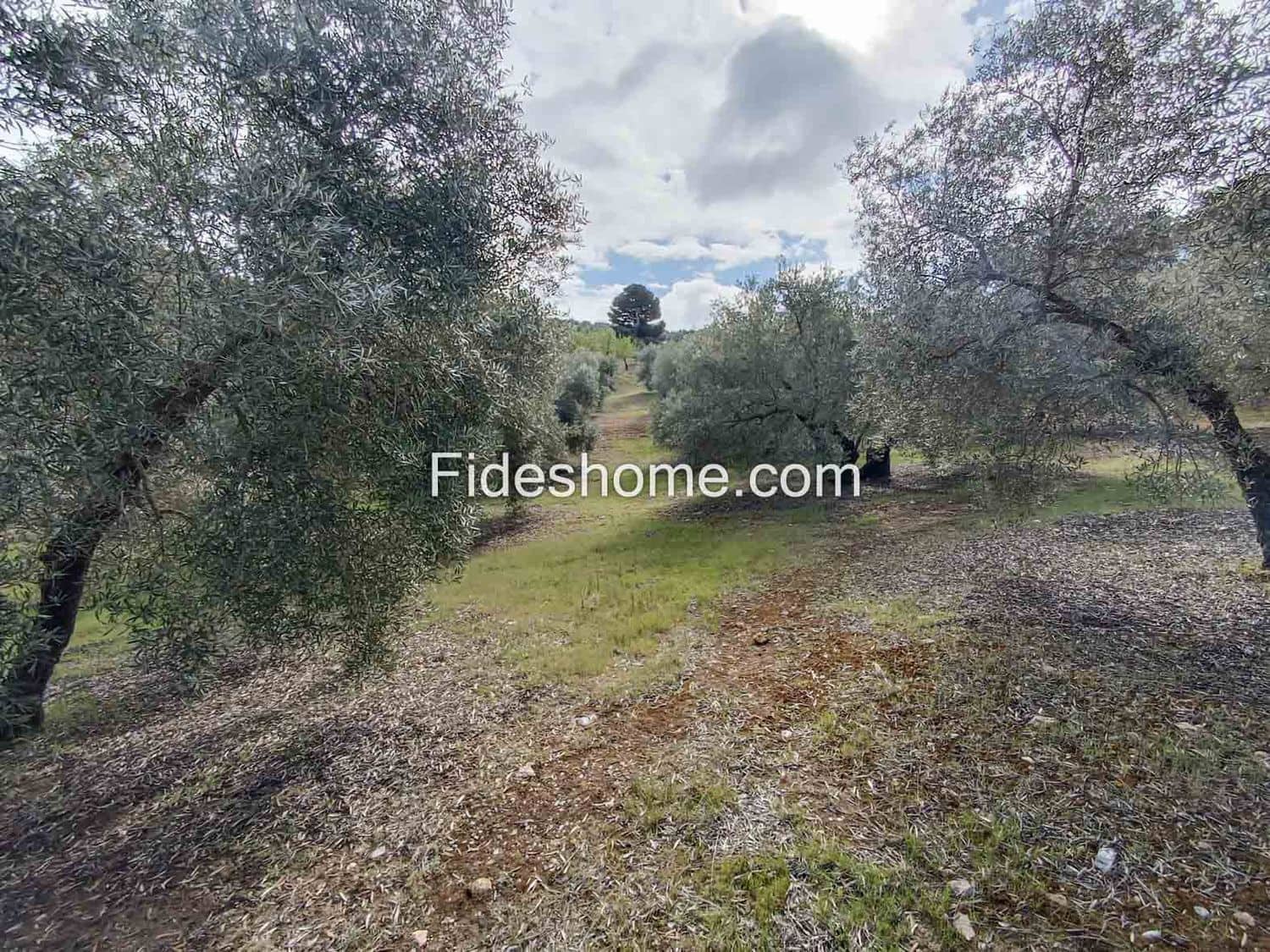Terreno/Finca Rústica en Albuñuelas en venta - 199.000 € (Ref: 10120456)