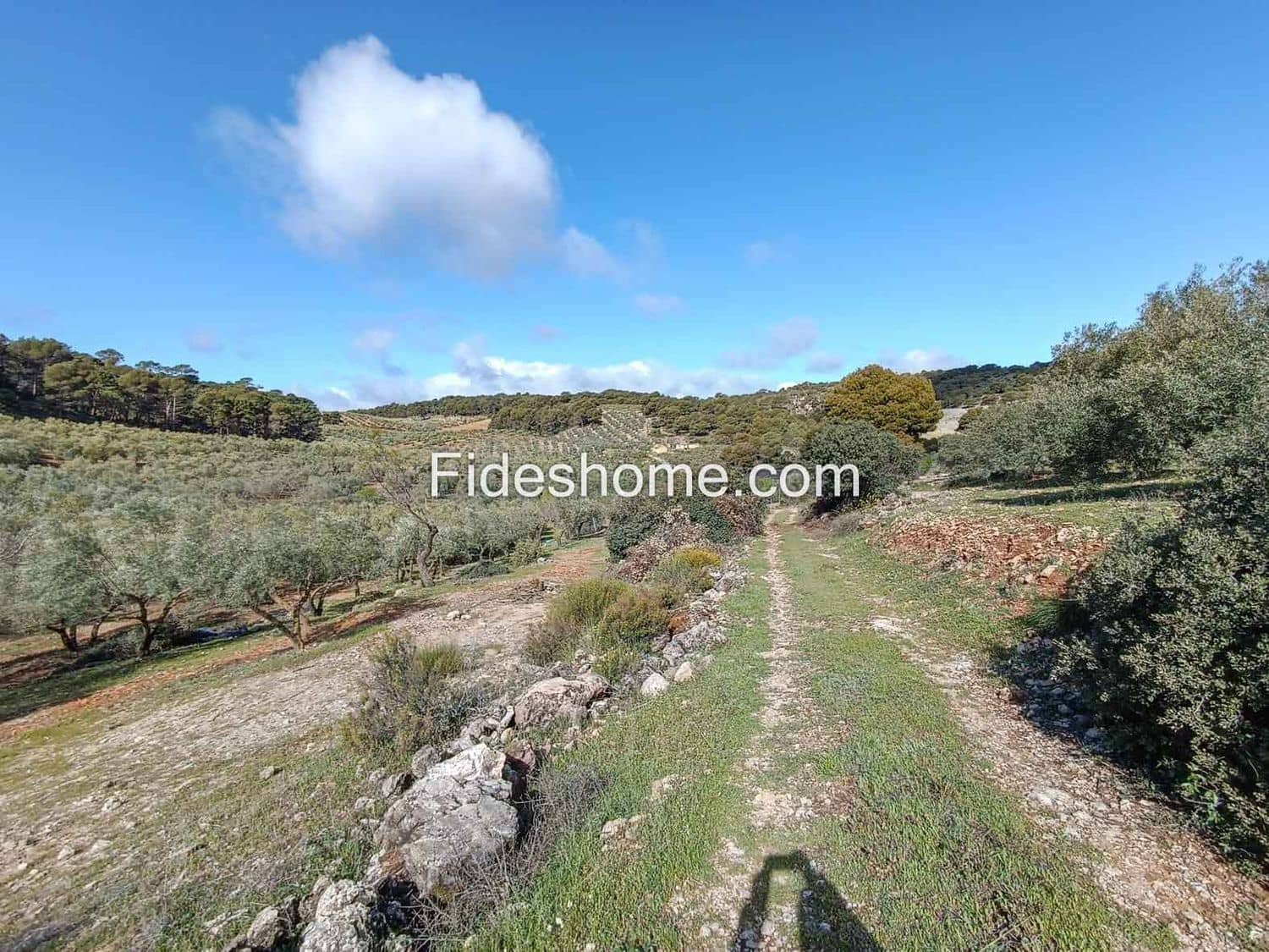 Terreno/Finca Rústica en Albuñuelas en venta - 199.000 € (Ref: 10120456)