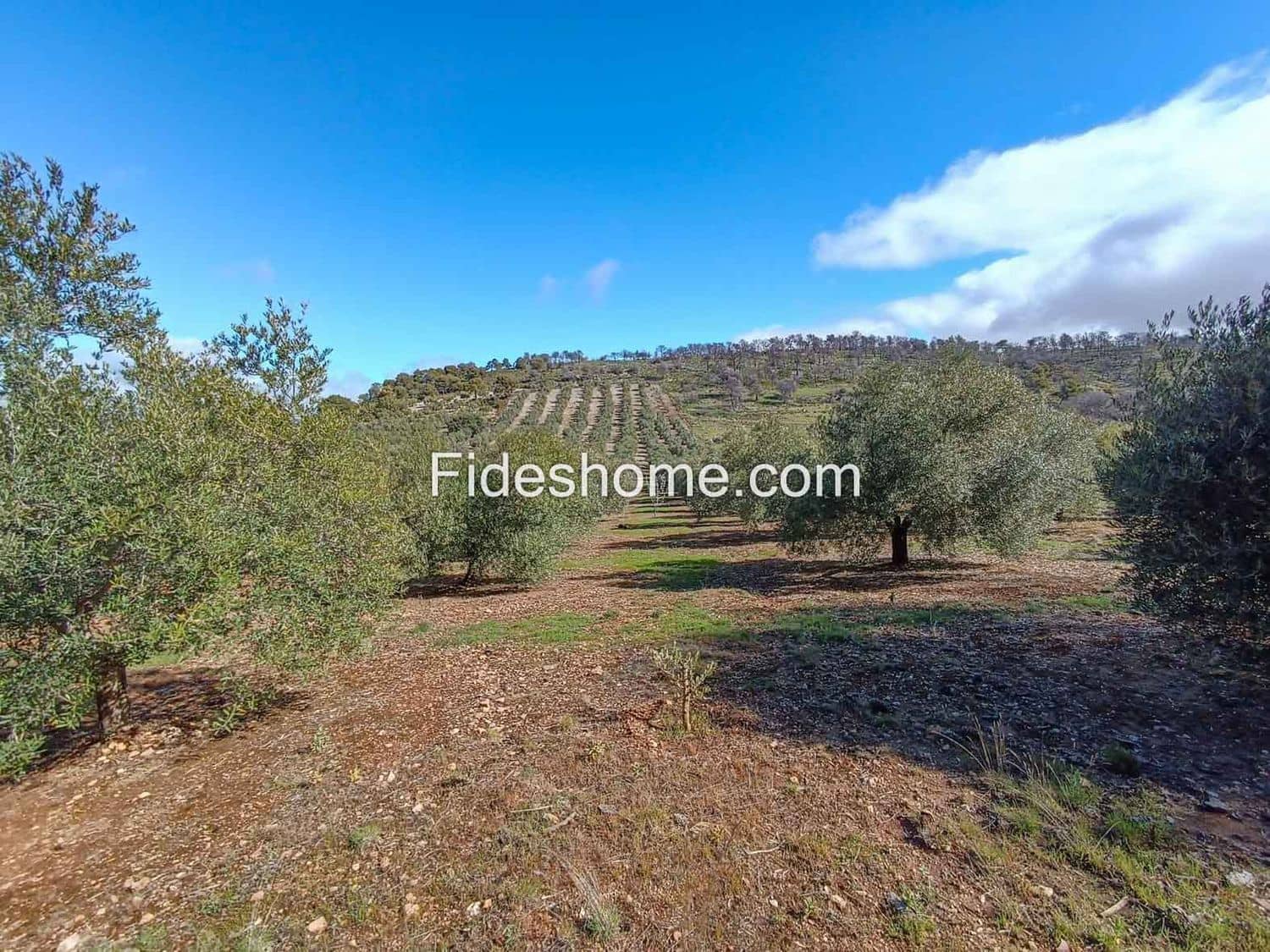 Terreno/Finca Rústica en Albuñuelas en venta - 199.000 € (Ref: 10120456)