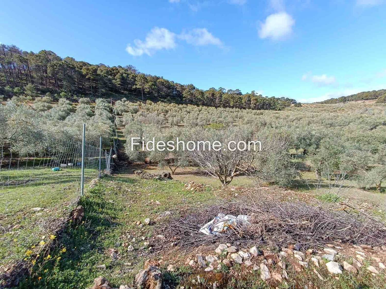 Terreno/Finca Rústica en Albuñuelas en venta - 199.000 € (Ref: 10120456)