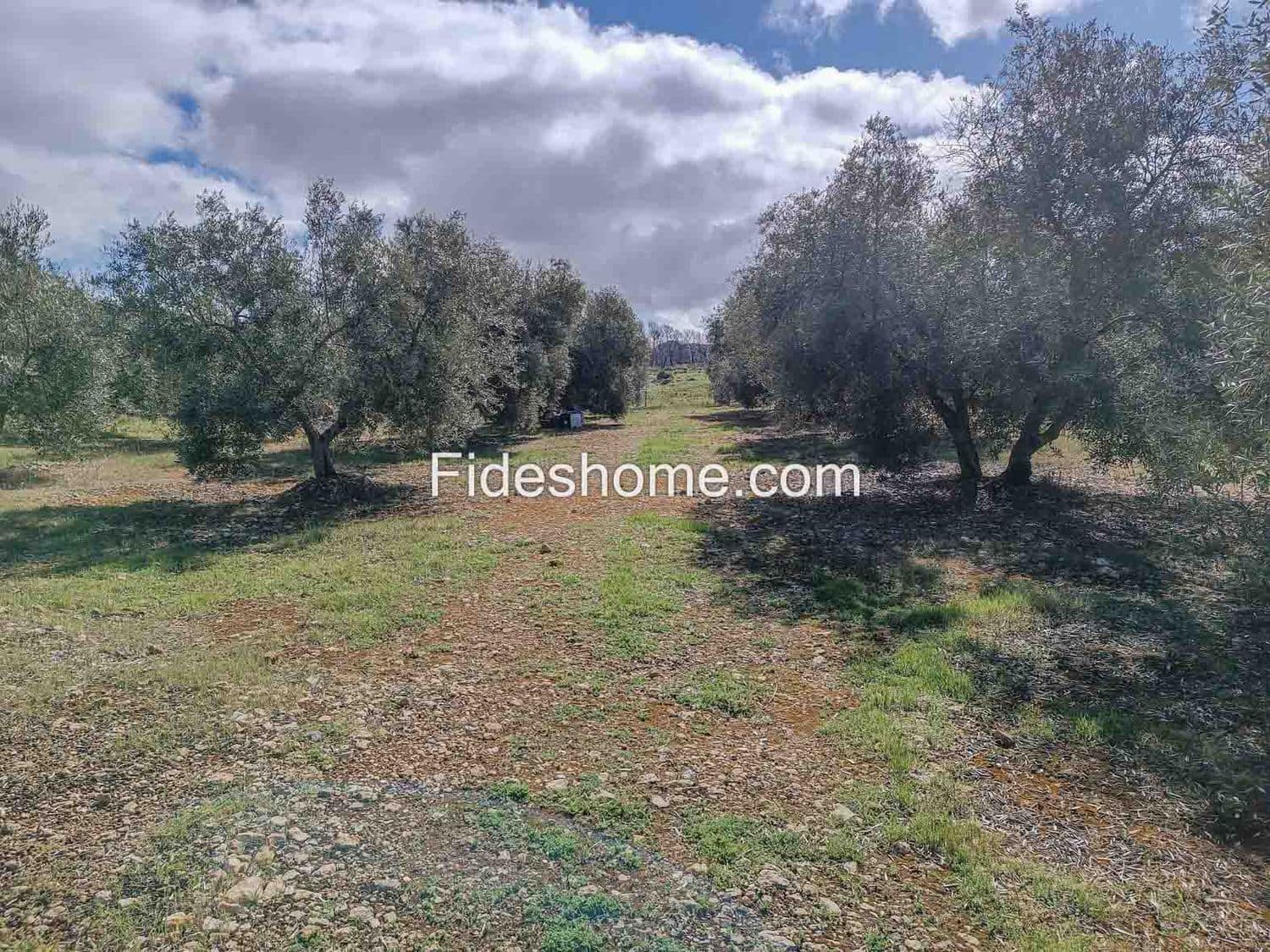 Terreno/Finca Rústica en Albuñuelas en venta - 199.000 € (Ref: 10120456)