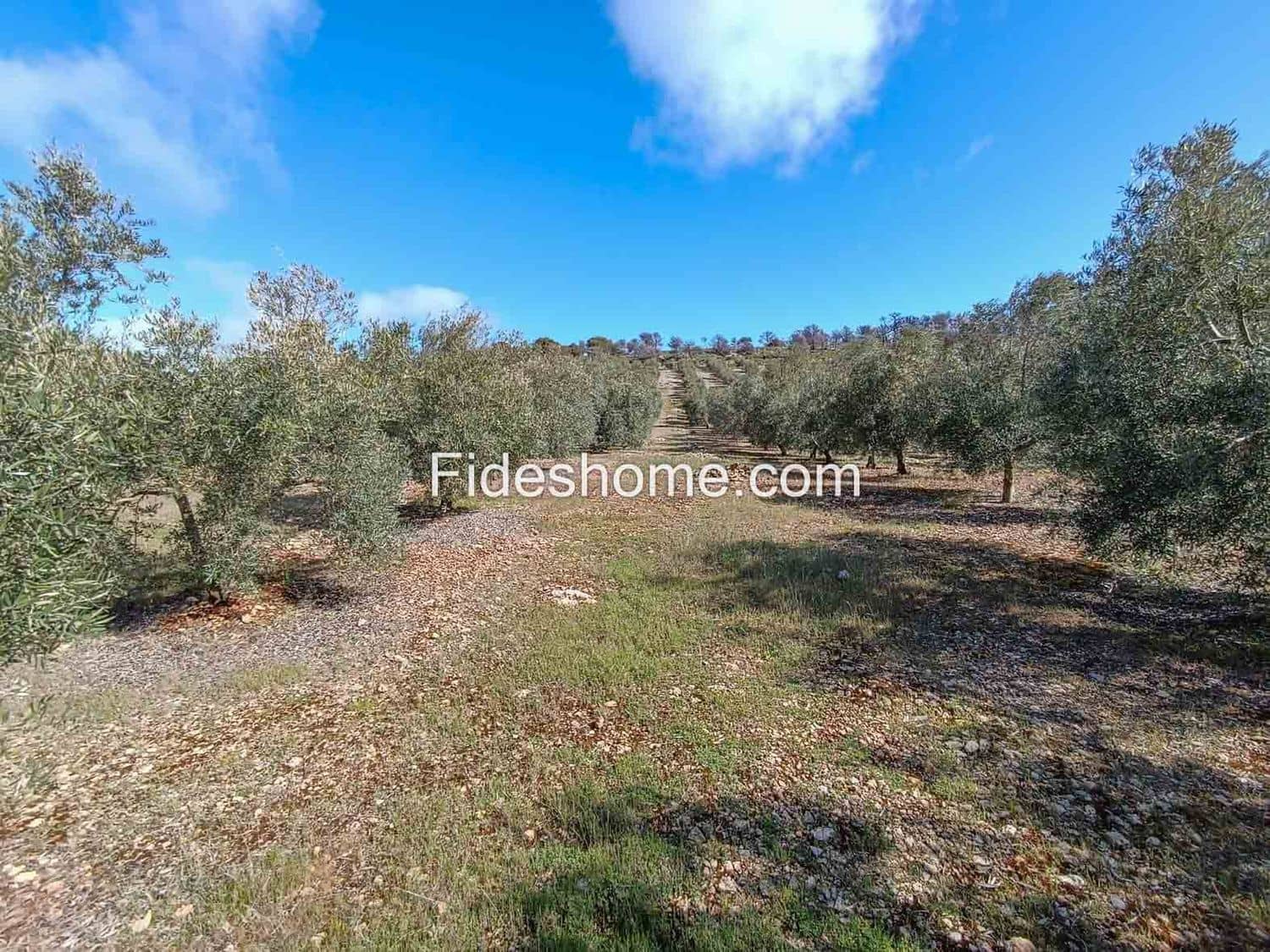 Terreno/Finca Rústica en Albuñuelas en venta - 199.000 € (Ref: 10120456)