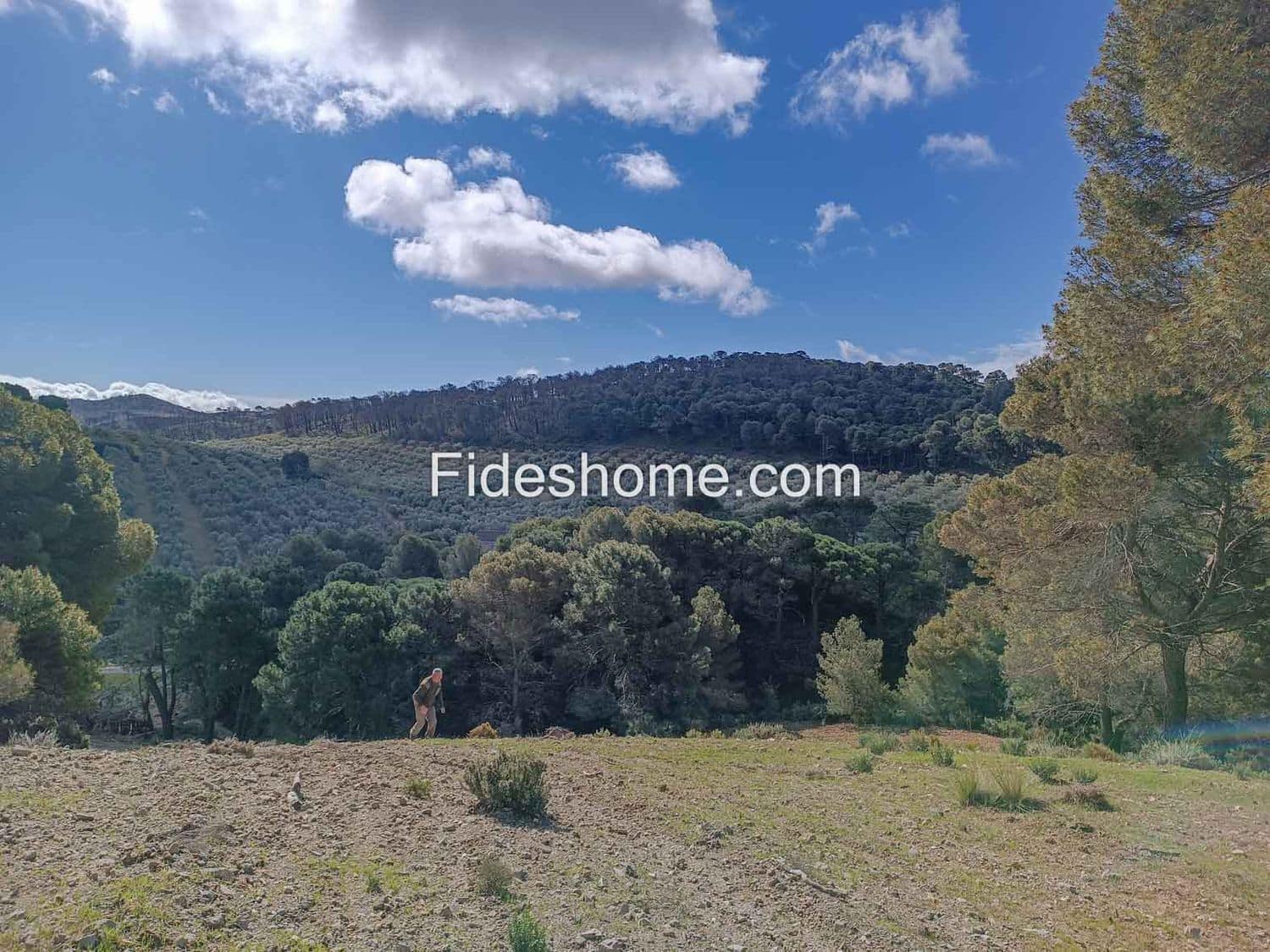 Terreno/Finca Rústica en Albuñuelas en venta - 199.000 € (Ref: 10120456)