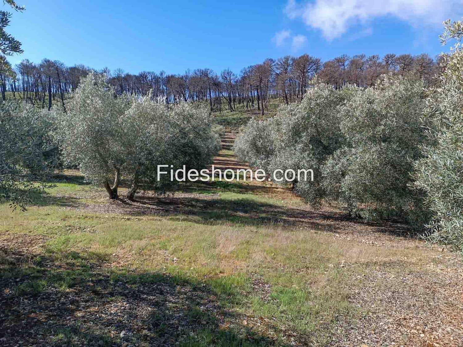 Terreno/Finca Rústica en Albuñuelas en venta - 199.000 € (Ref: 10120456)