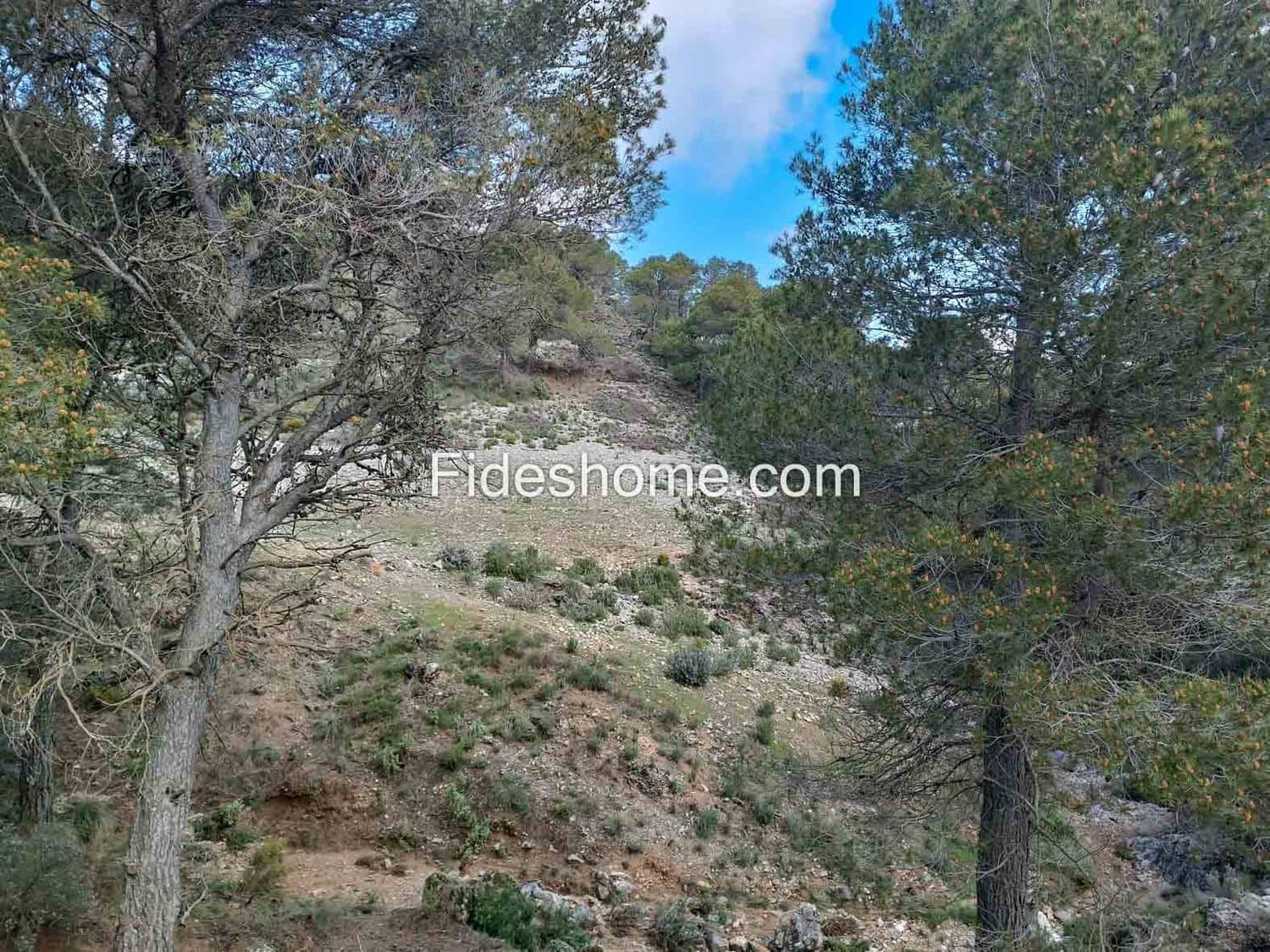 Terreno/Finca Rústica en Albuñuelas en venta - 199.000 € (Ref: 10120456)