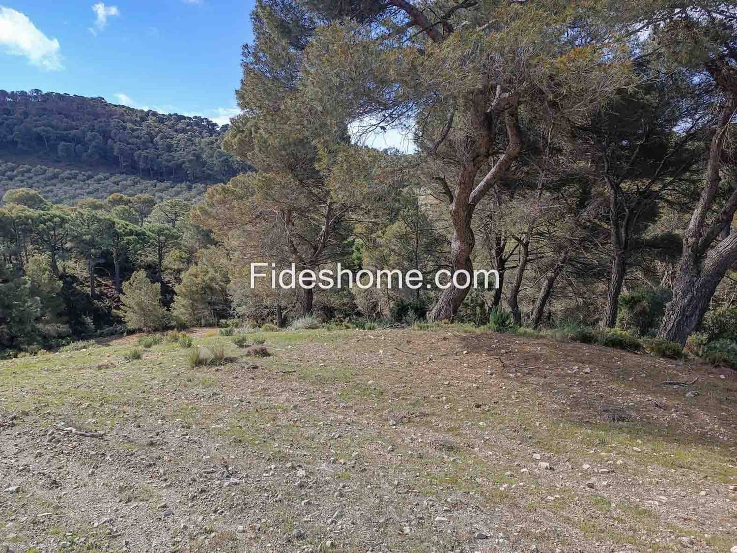 Terreno/Finca Rústica en Albuñuelas en venta - 199.000 € (Ref: 10120456)