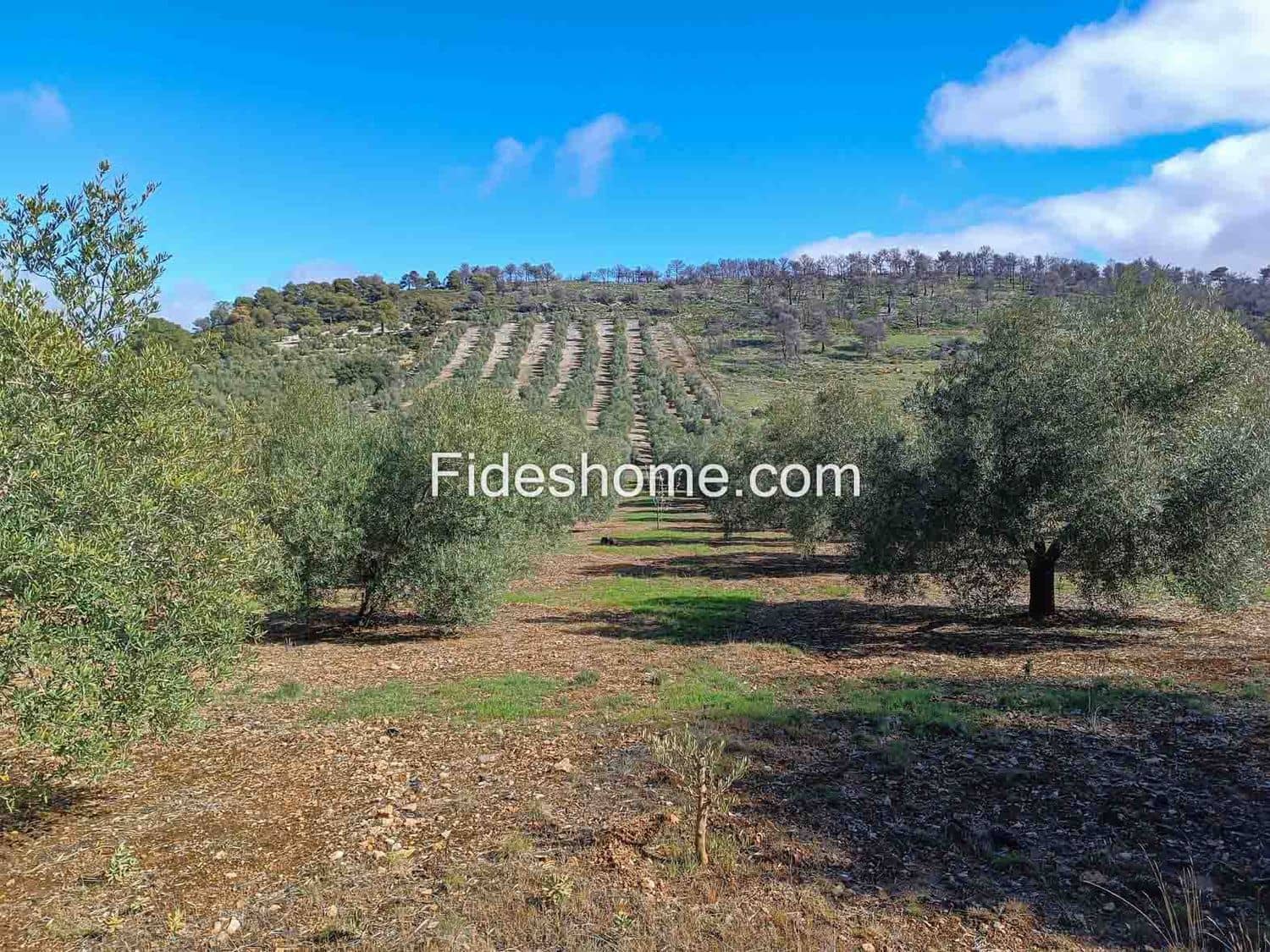 Terreno/Finca Rústica en Albuñuelas en venta - 199.000 € (Ref: 10120456)