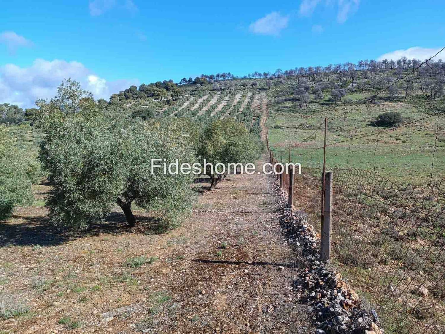 Terreno/Finca Rústica en Albuñuelas en venta - 199.000 € (Ref: 10120456)
