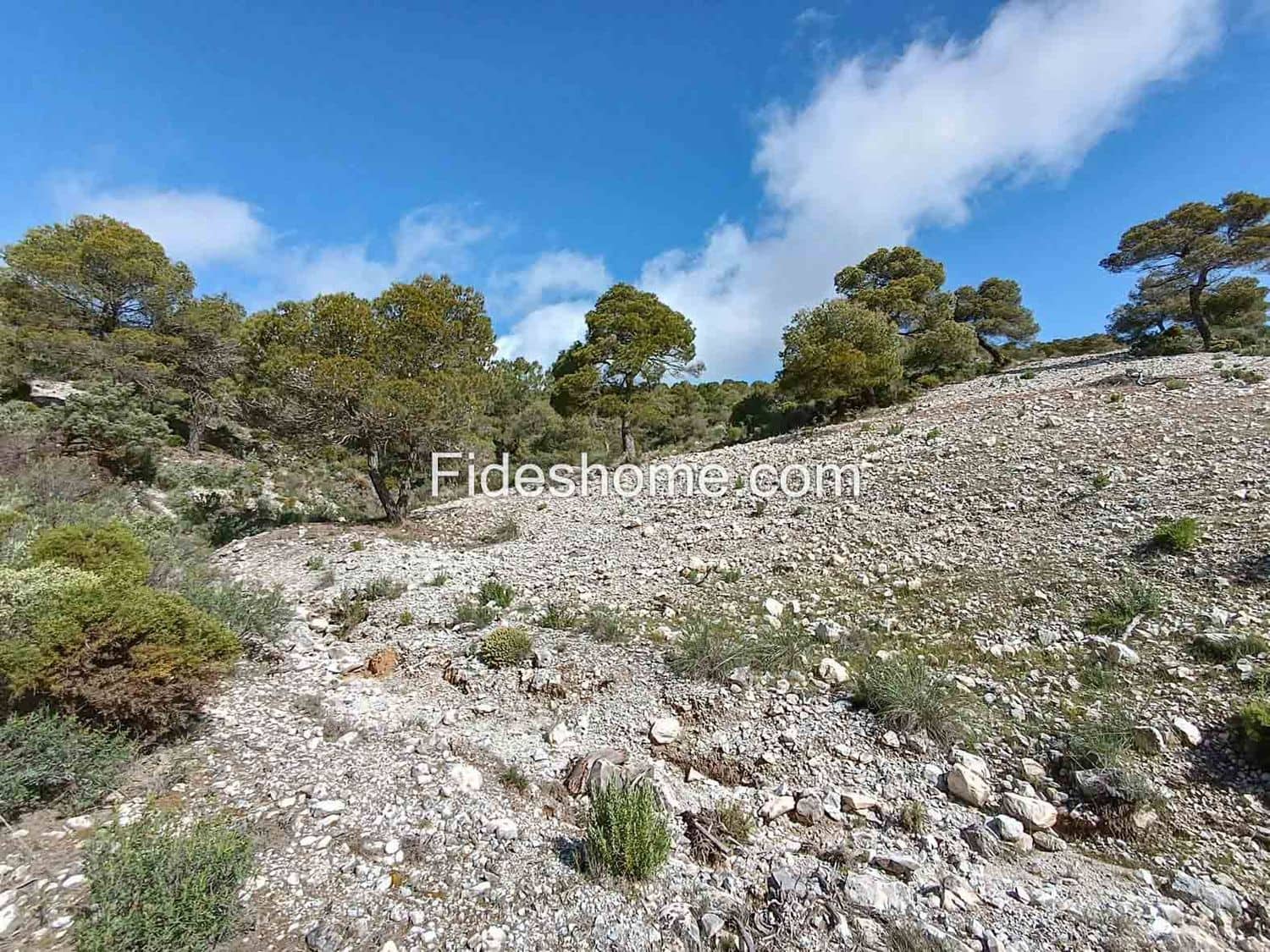 Terreno/Finca Rústica en Albuñuelas en venta - 199.000 € (Ref: 10120456)