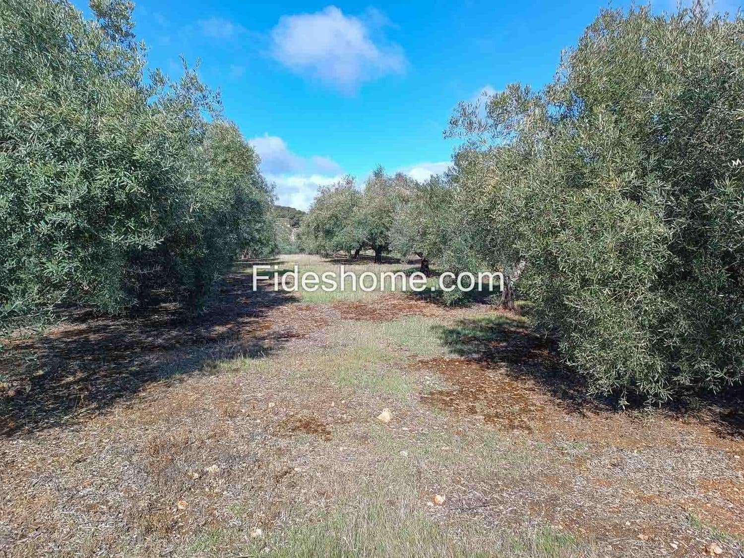 Terreno/Finca Rústica en Albuñuelas en venta - 199.000 € (Ref: 10120456)