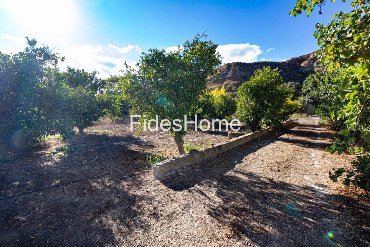 Ubebygd land til salgs i Lecrin - € 200 000 (Ref: 10120459)