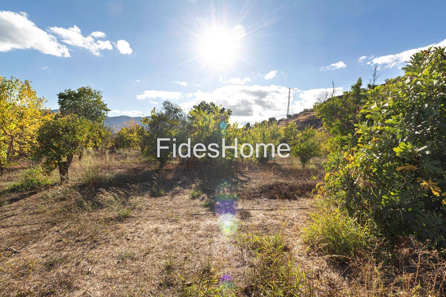 Ubebygd land til salgs i Lecrin - € 200 000 (Ref: 10120459)