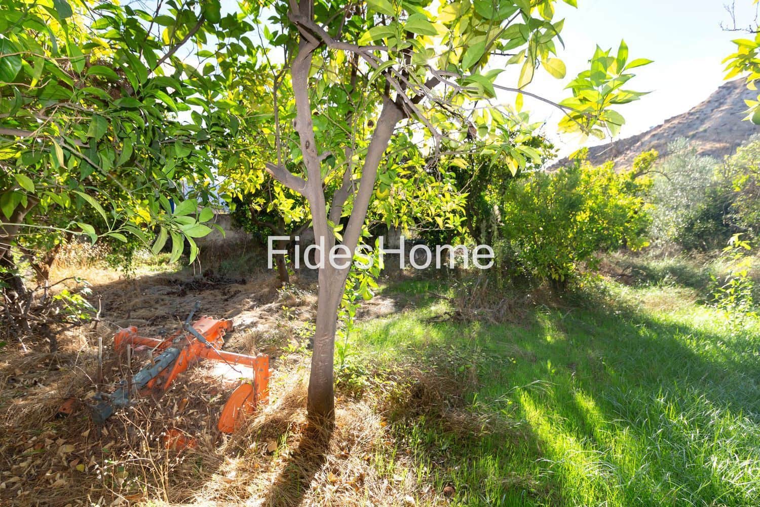Ubebygd land til salgs i Lecrin - € 200 000 (Ref: 10120459)