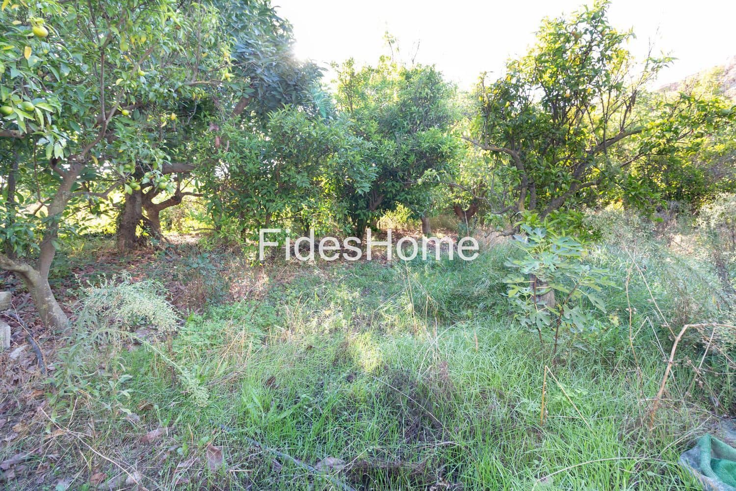 Ubebygd land til salgs i Lecrin - € 200 000 (Ref: 10120459)