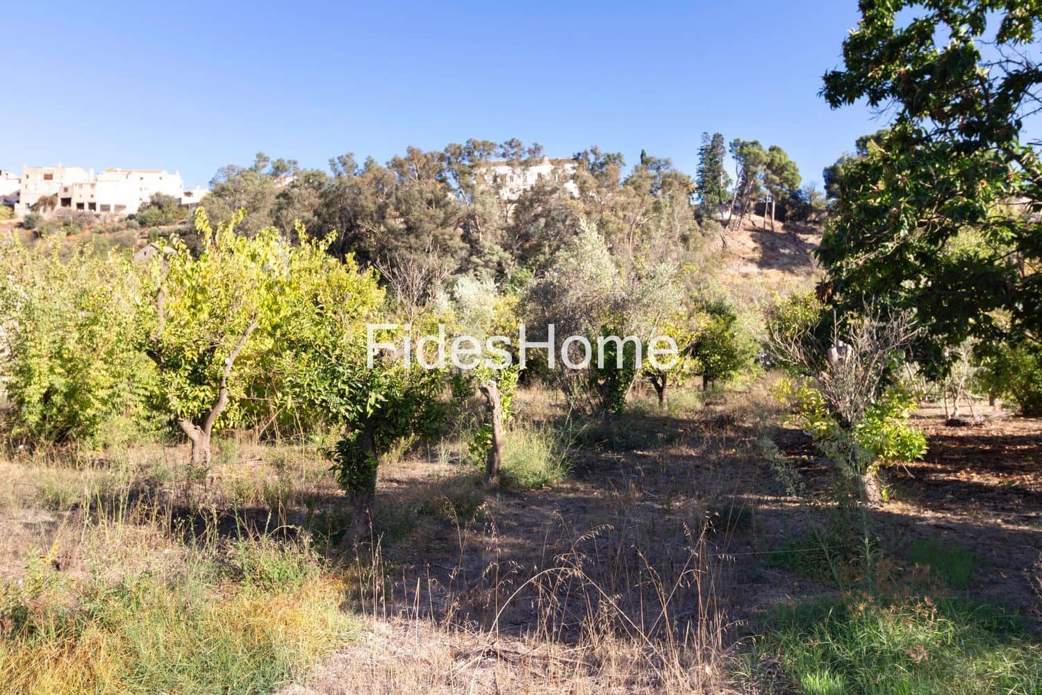 Ubebygd land til salgs i Lecrin - € 200 000 (Ref: 10120459)