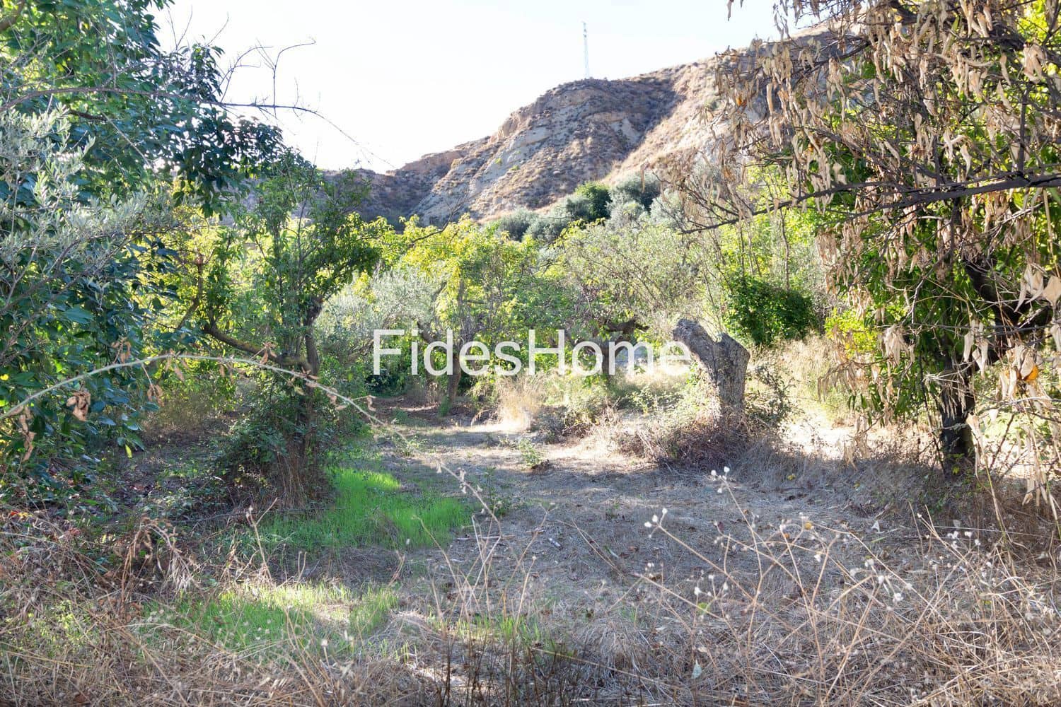 Ubebygd land til salgs i Lecrin - € 200 000 (Ref: 10120459)