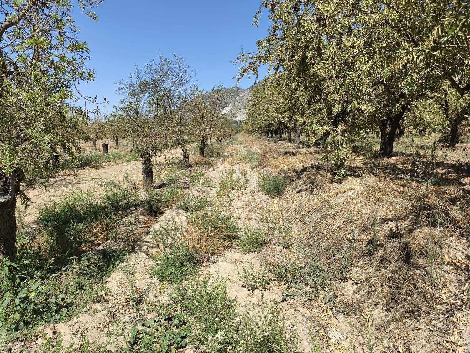 Ubebygd land til salgs i Durcal - € 95 000 (Ref: 10120460)
