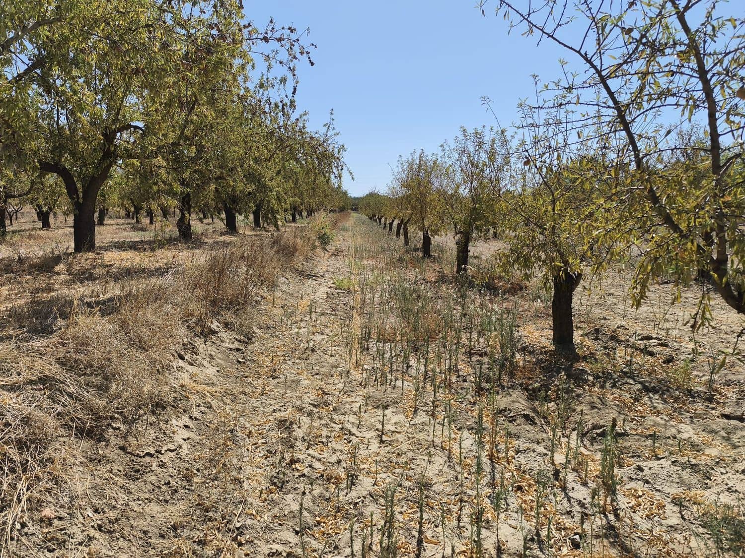 Ubebygd land til salgs i Durcal - € 95 000 (Ref: 10120460)