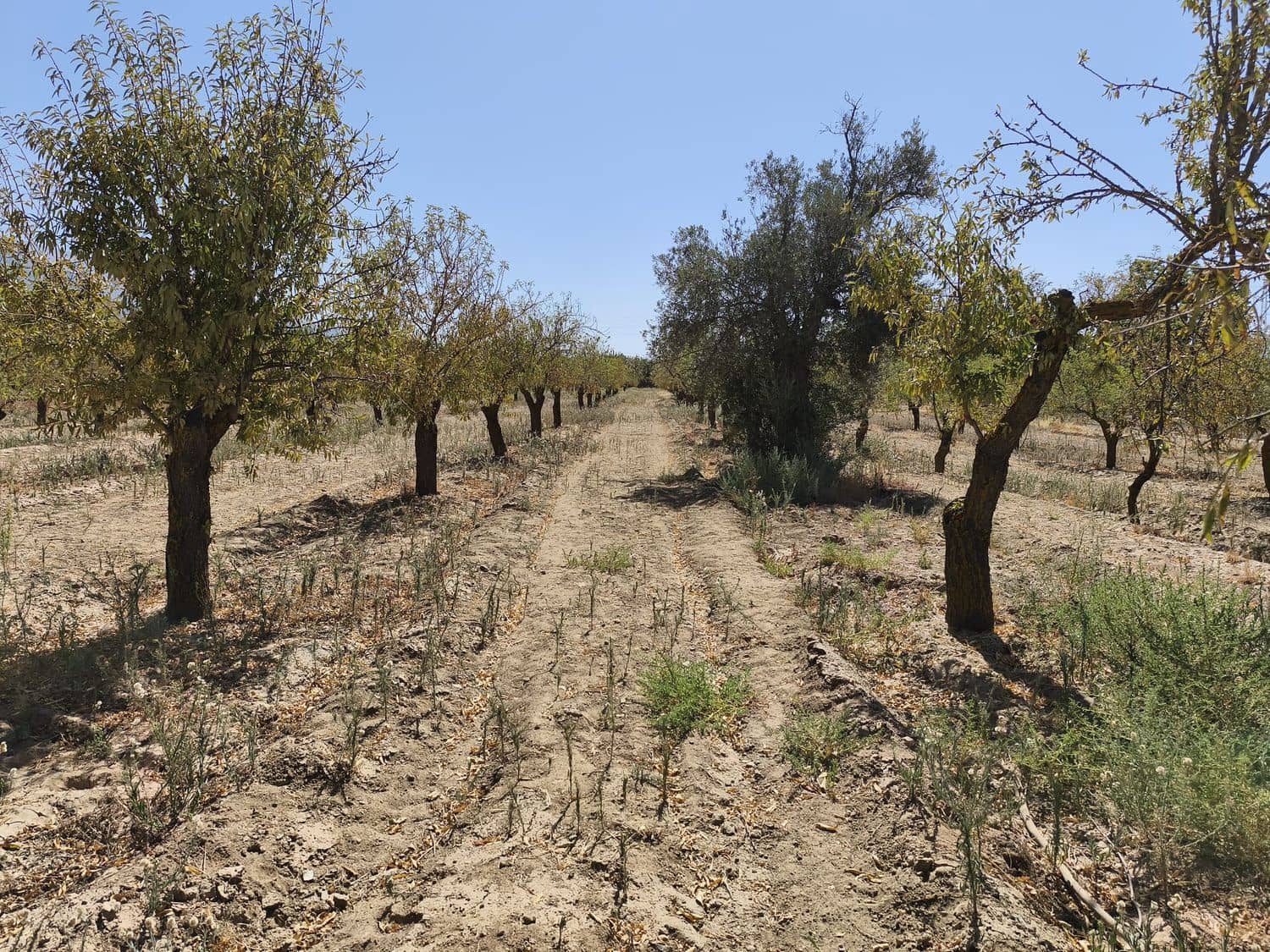 Ubebygd land til salgs i Durcal - € 95 000 (Ref: 10120460)
