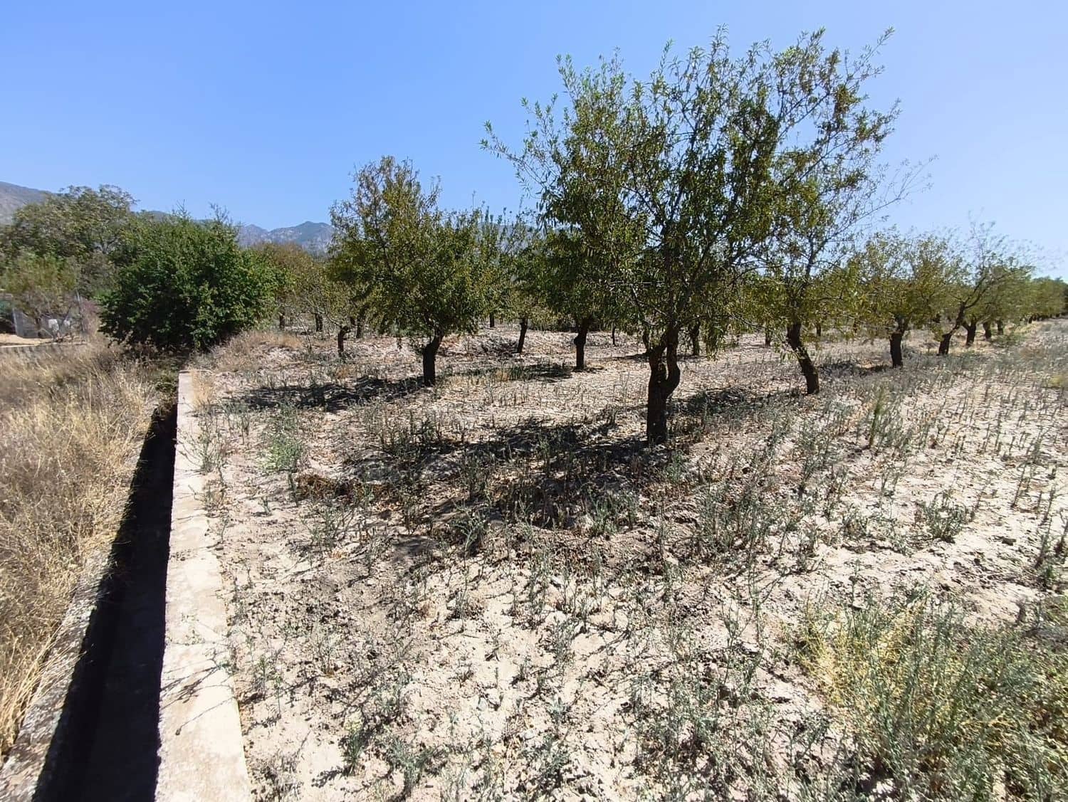 Ubebygd land til salgs i Durcal - € 95 000 (Ref: 10120460)